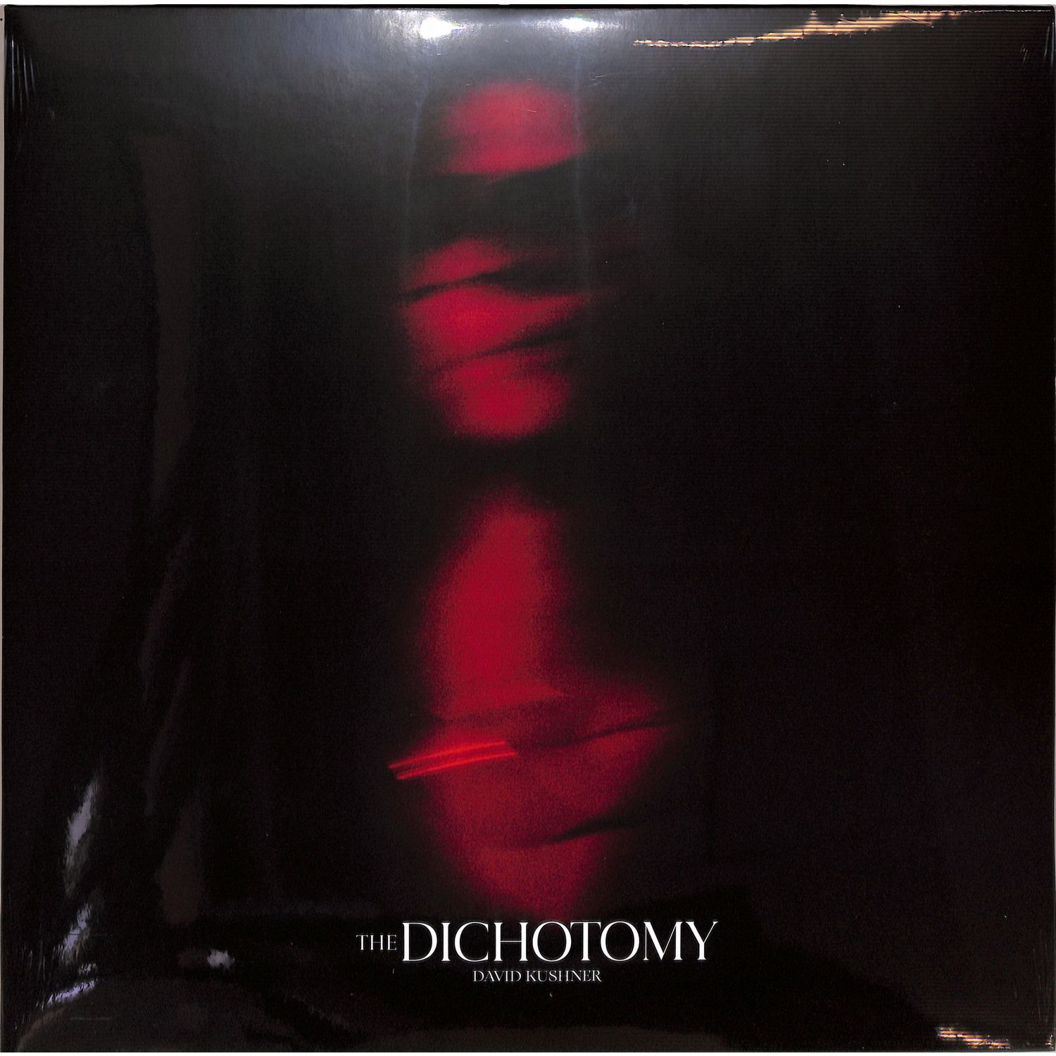 David Kushner - THE DICHOTOMY 