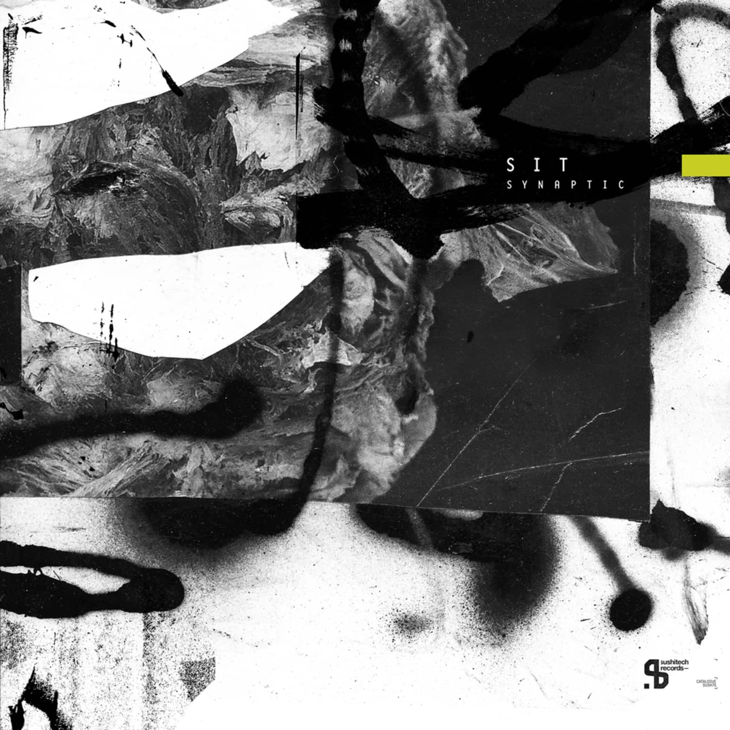 SIT - SYNAPTIC 