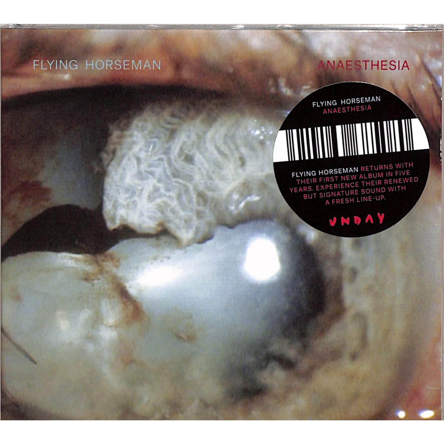 Flying Horseman - ANAESTHESIA 