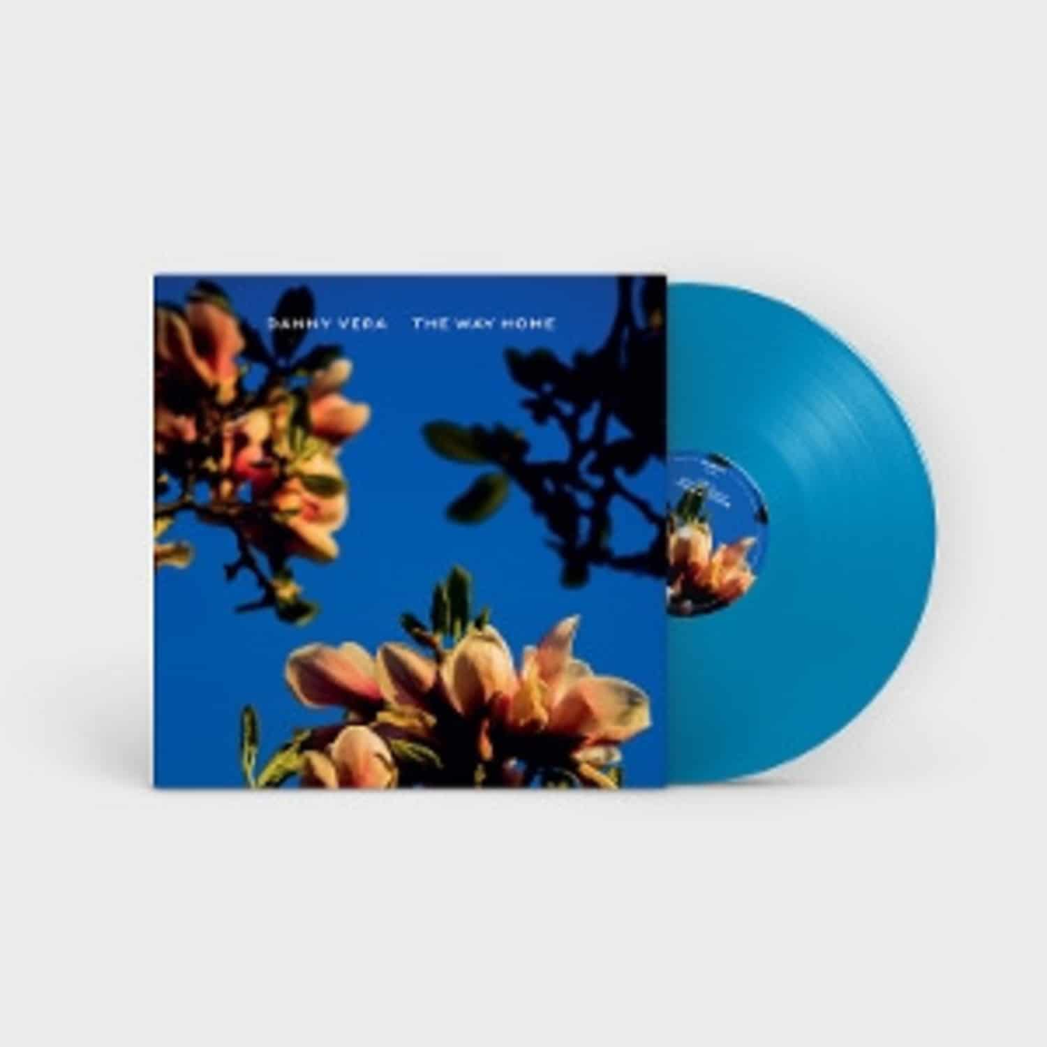 Danny Vera - THE WAY HOME