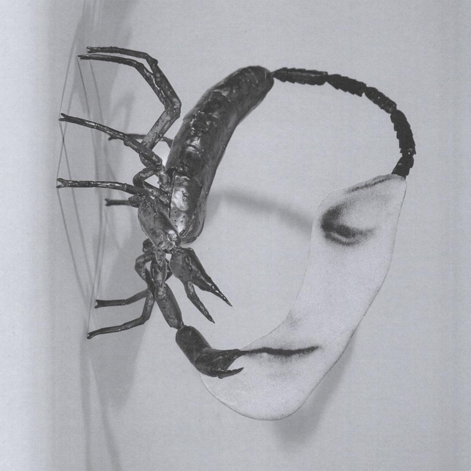Tortoise - TOUCH 