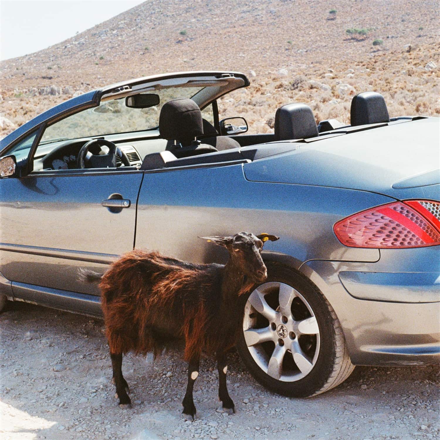 Exek - PROVE THE MOUNTAINS MOVE