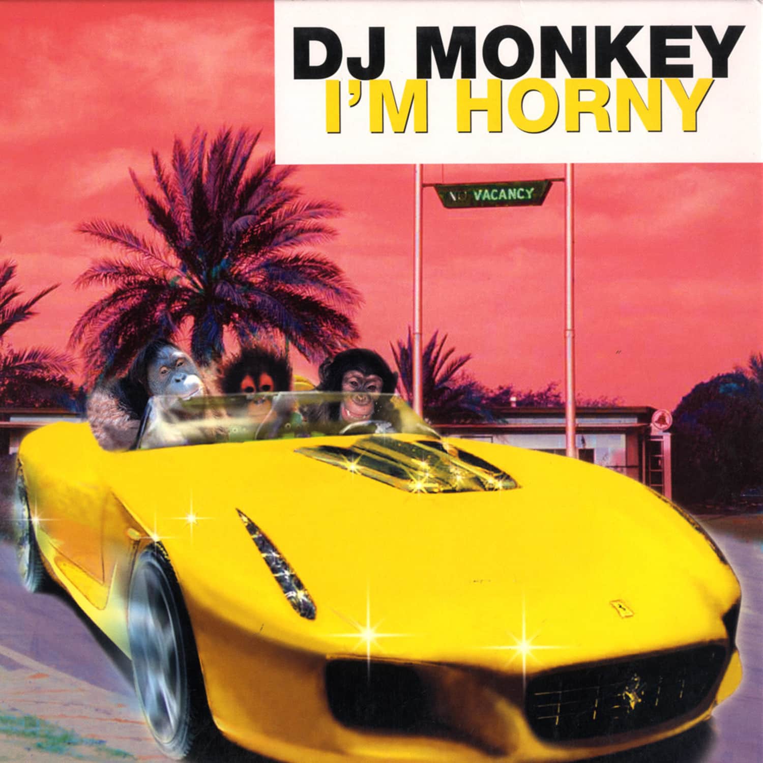 2nd Hand_DJ Monkey - IM HORNY