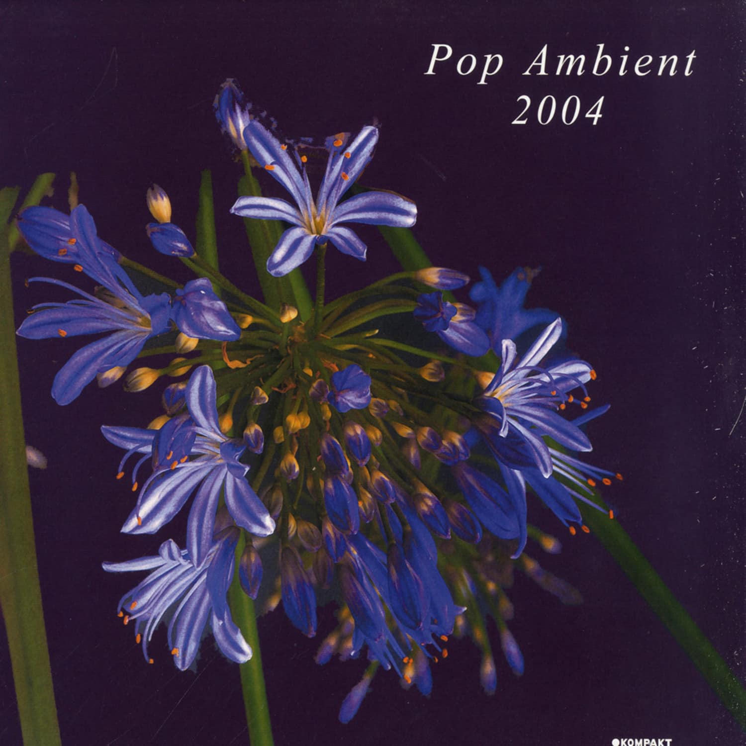 Kompakt - POP AMBIENT 2004 