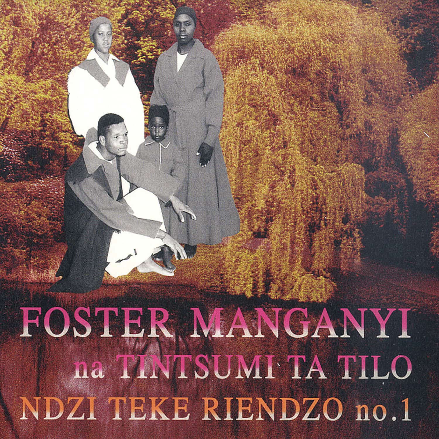 Foster Manganyi - NDZI TEKE RIENDZO 