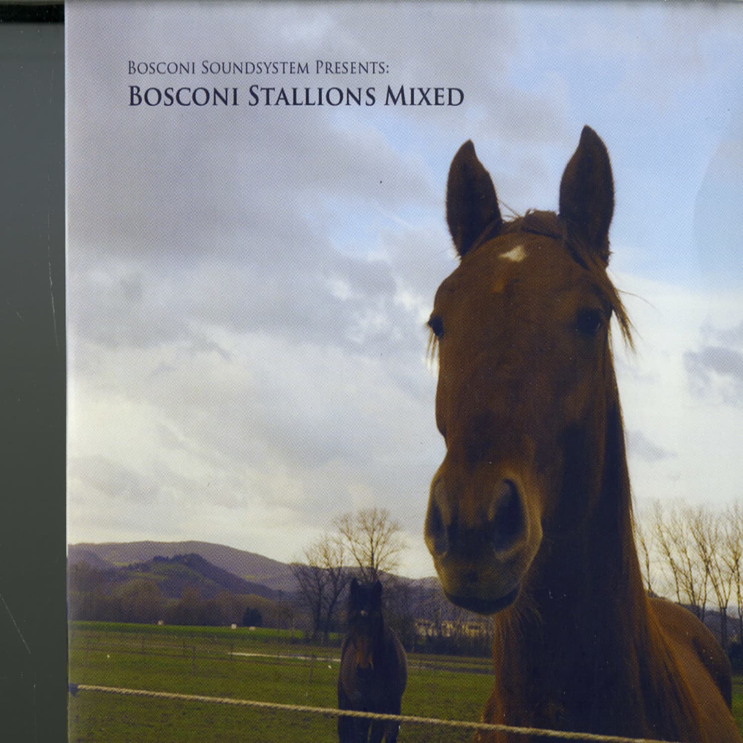 Bosconi Soundsystem - BOSCONI STALLIONS MIXED 