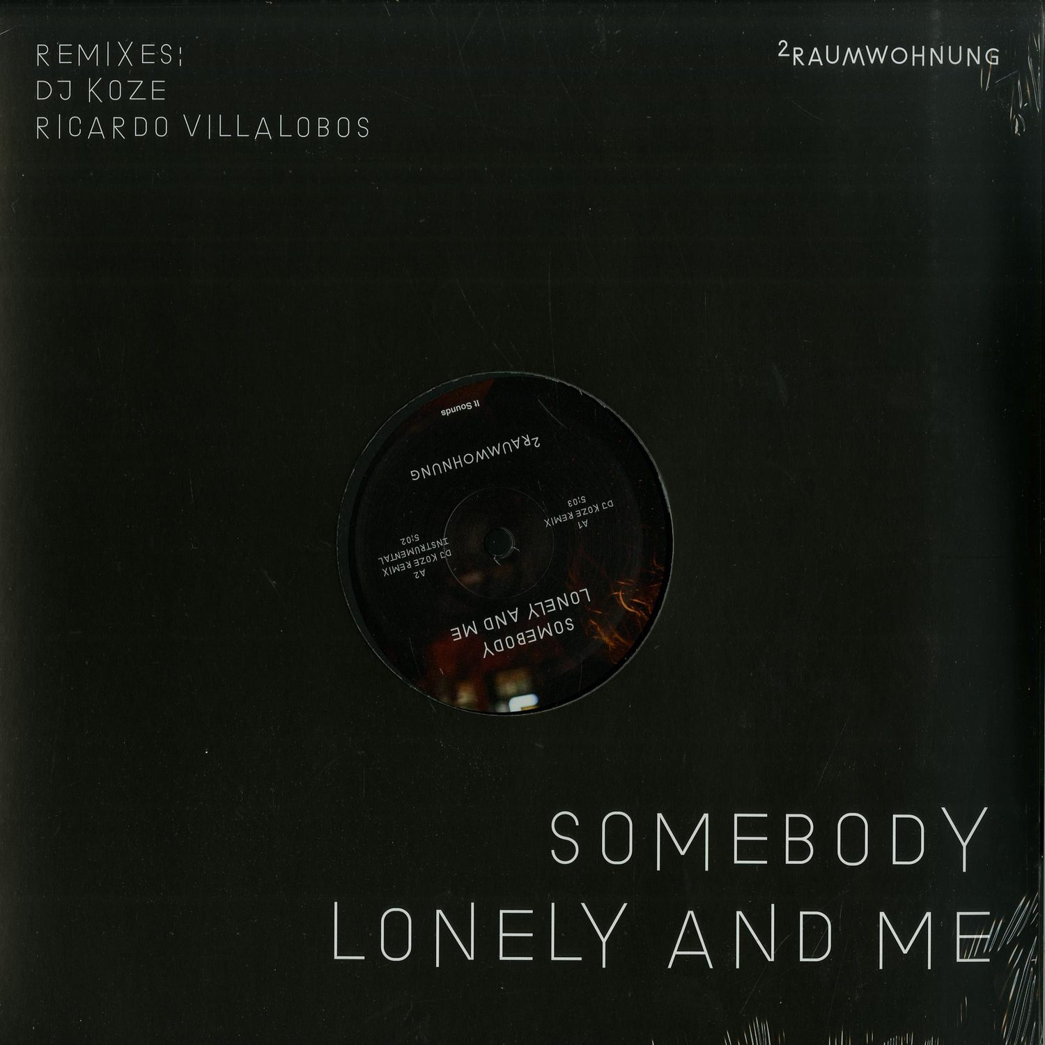 2Raumwohnung - SOMEBODY LONELY AND ME 
