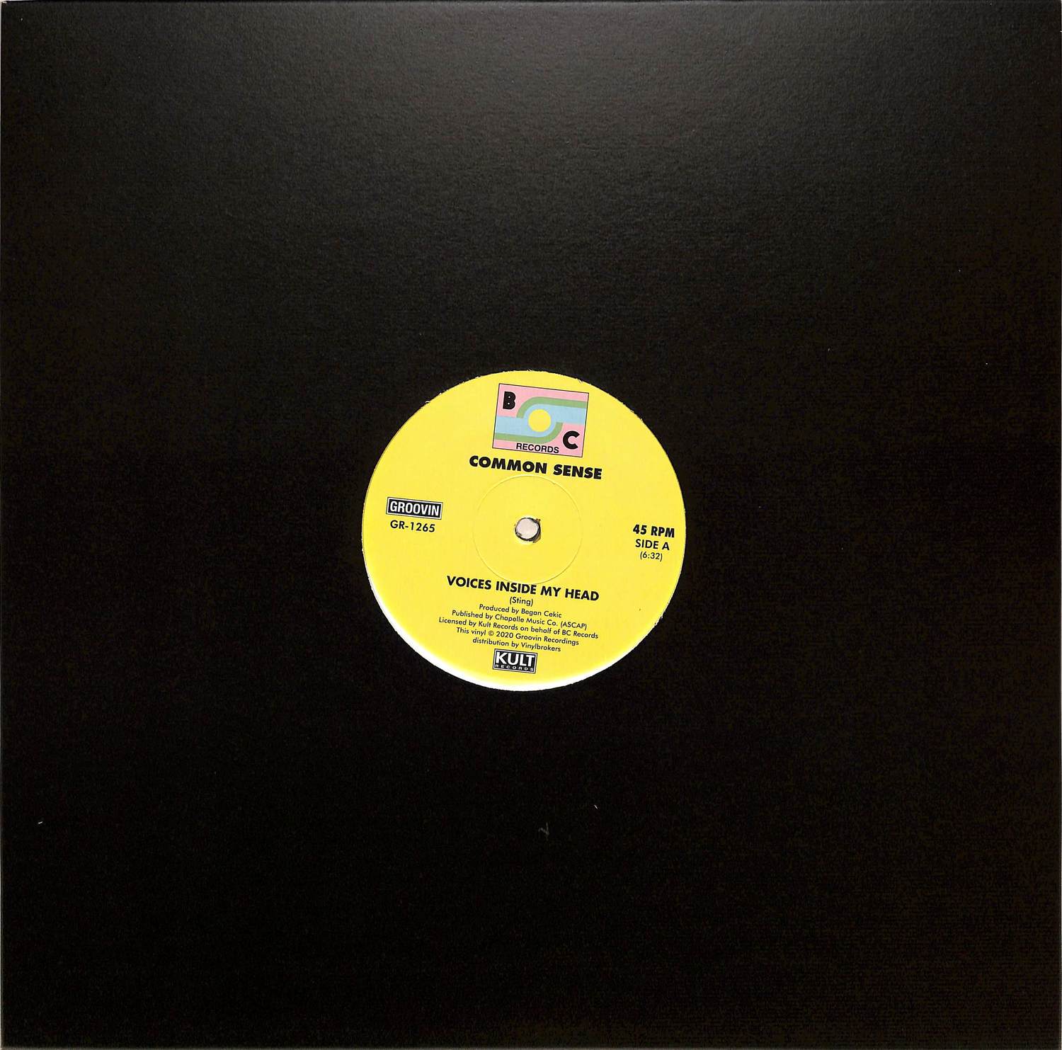 Common Sense - VOICES INSIDE MY HEAD