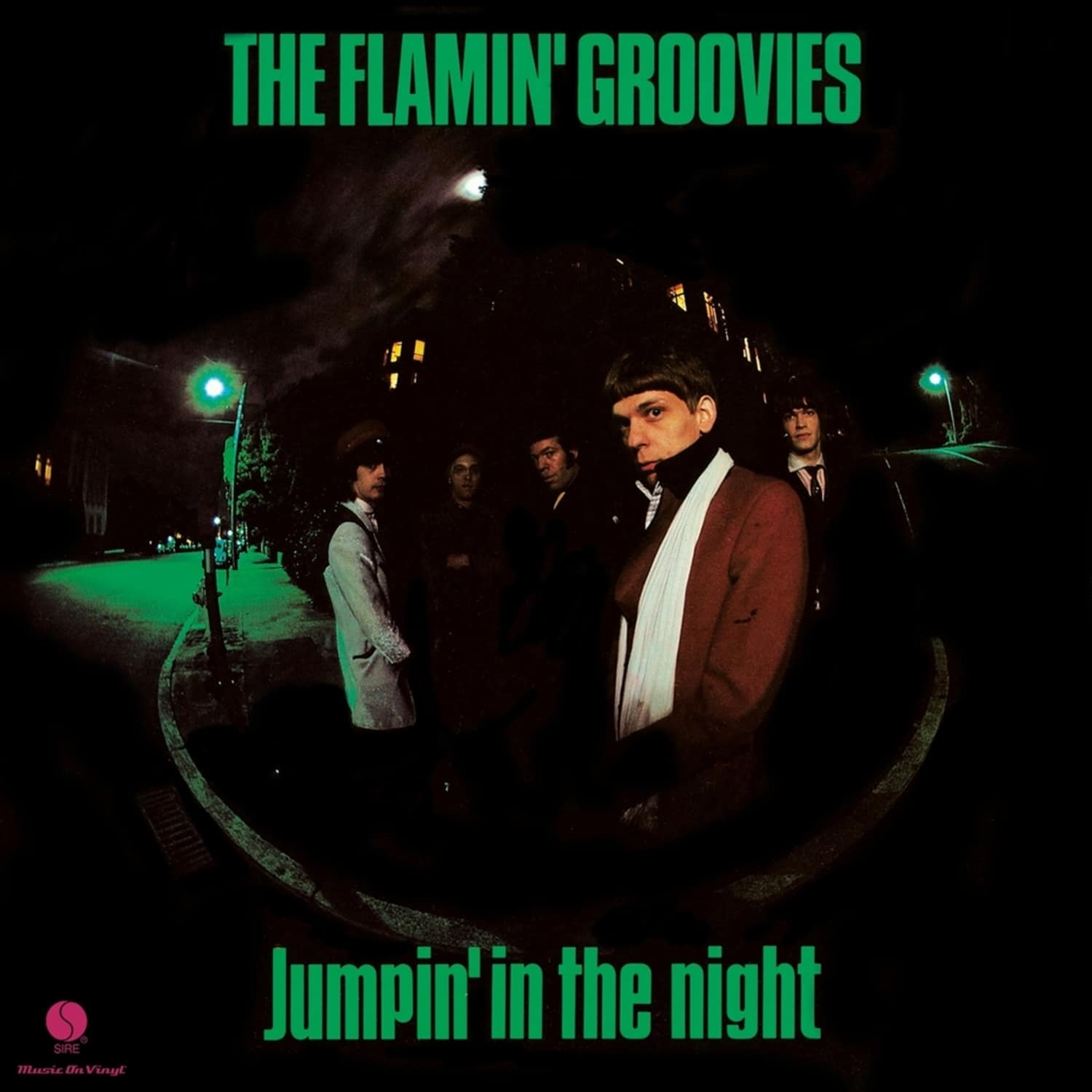 Flamin Groovies  - JUMPIN IN THE NIGHT 