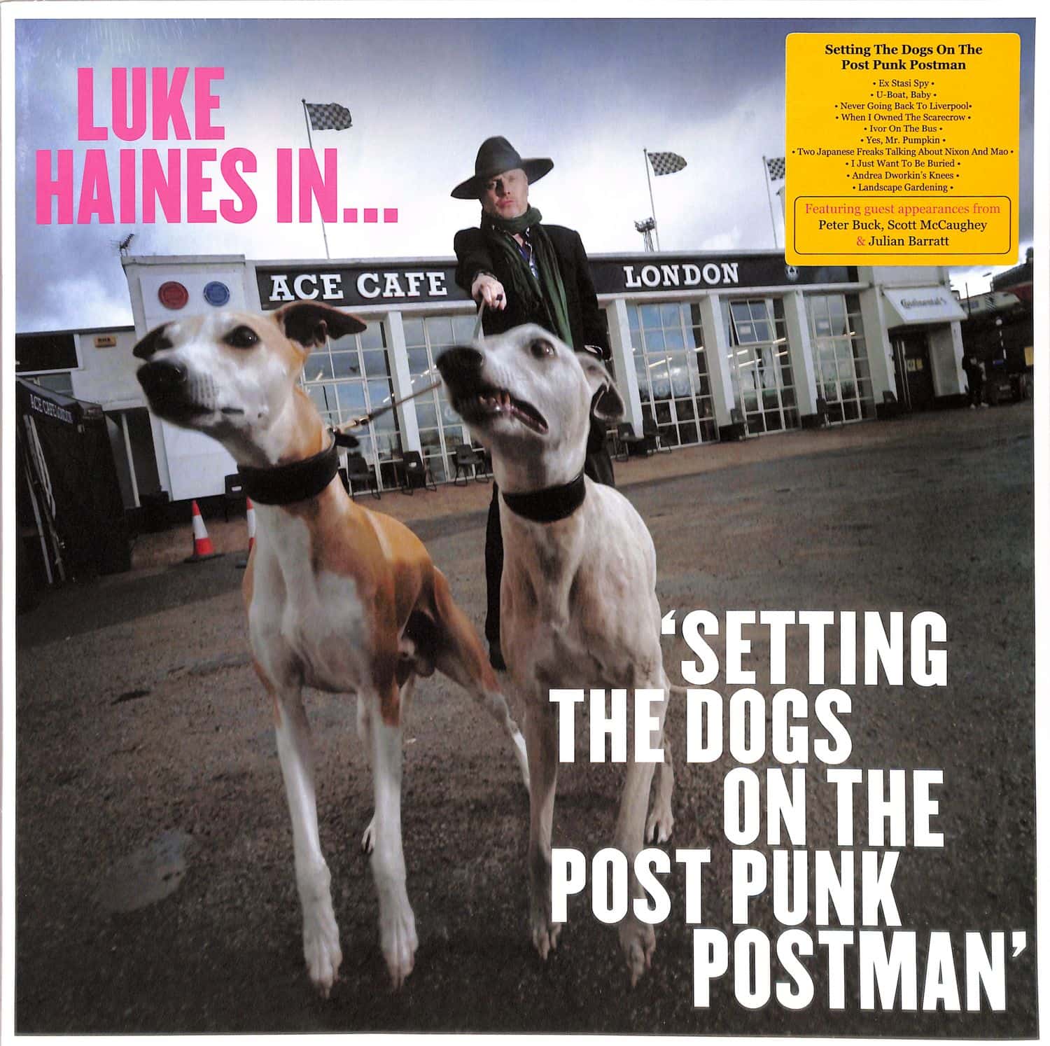 Luke Haines - LUKE HAINES IN...SETTING THE DOGS ON THE POST PUNK 