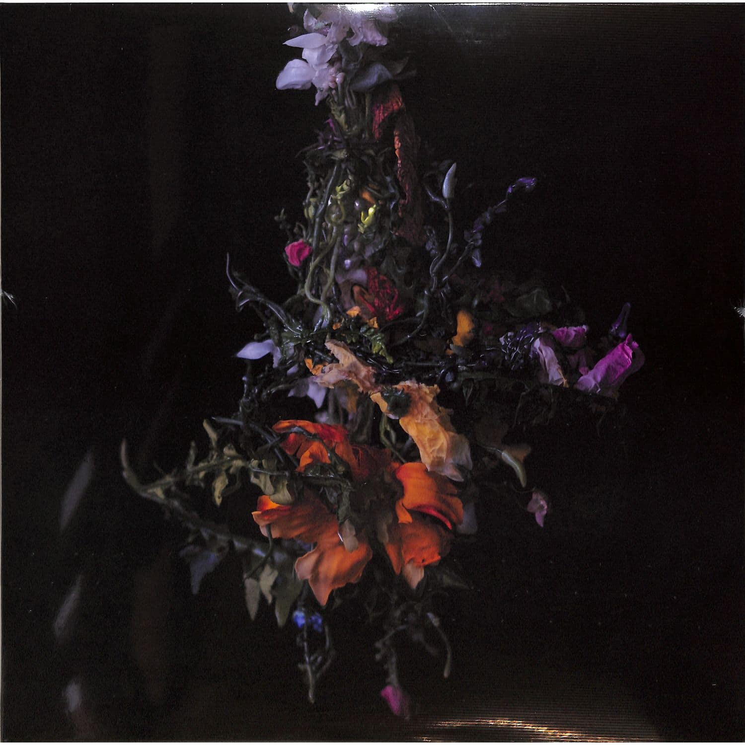 BIG | BRAVE - NATURE MORTE 