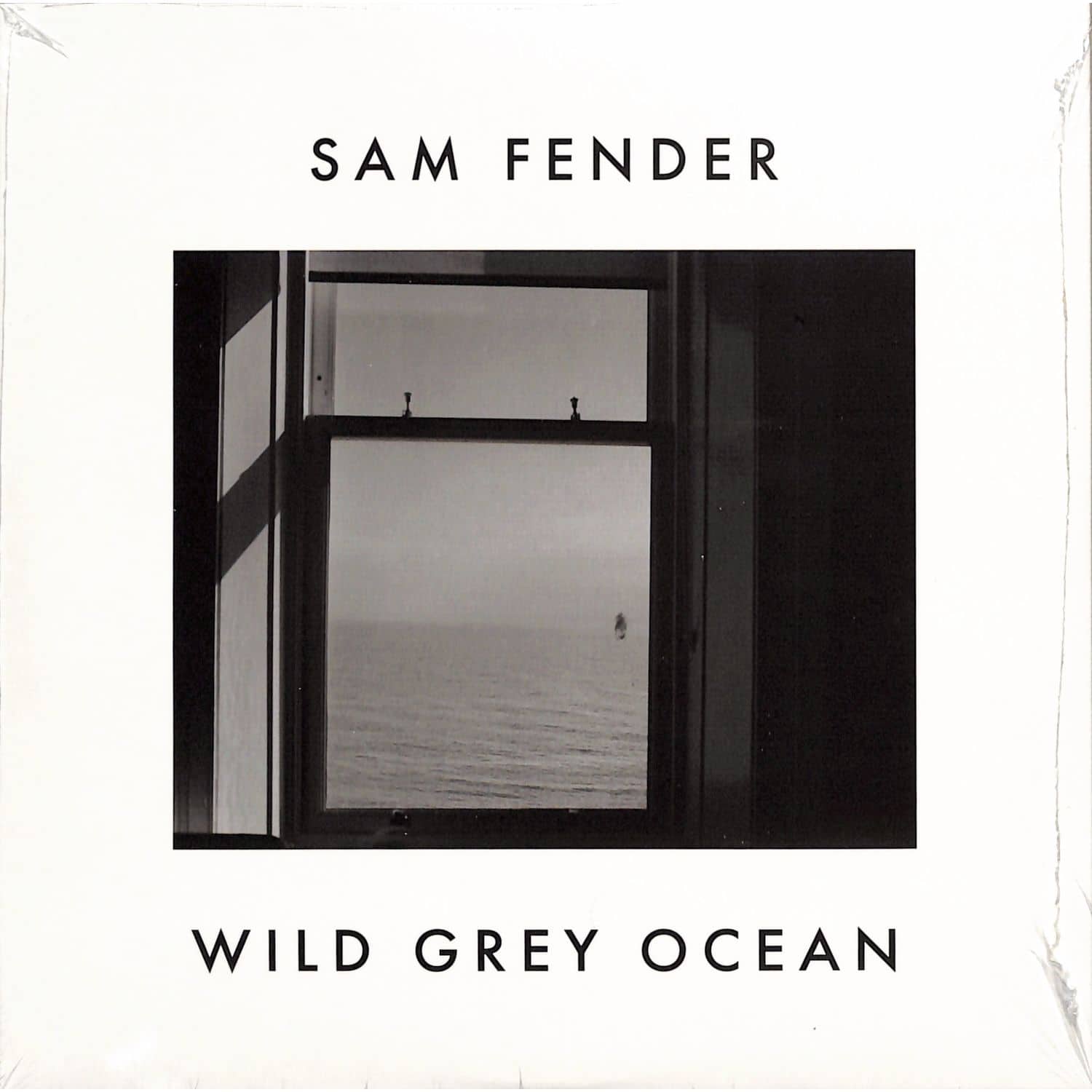 Sam Fender - WILD GREY OCEAN / LITTLE BULL OF BLITHE