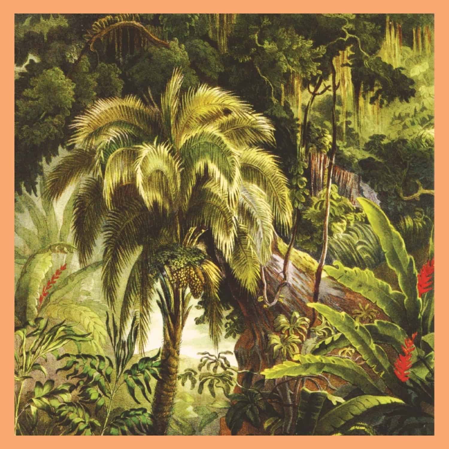 Xiu Xiu - LA FORET 