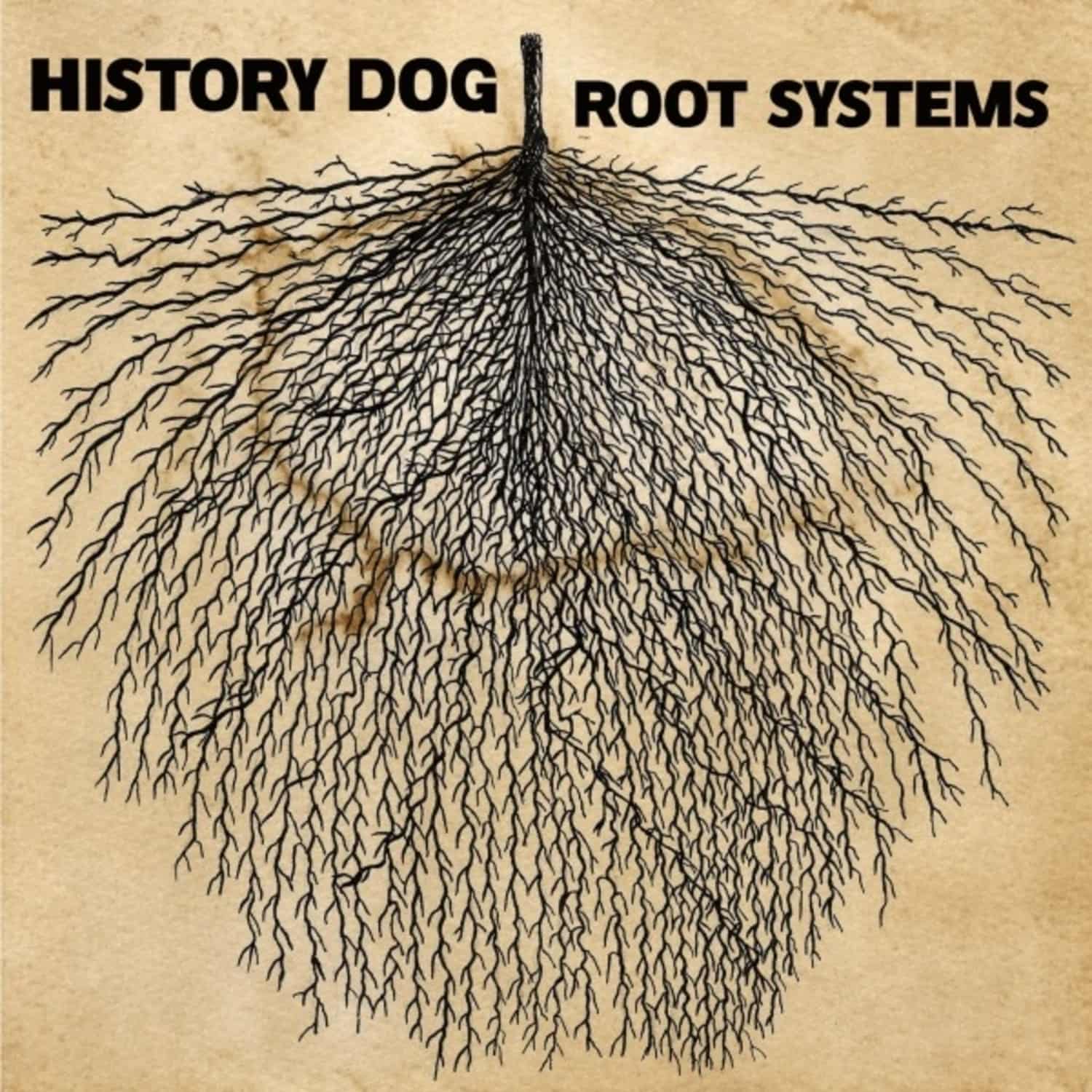 History Dog - ROOT SYSTEMS 