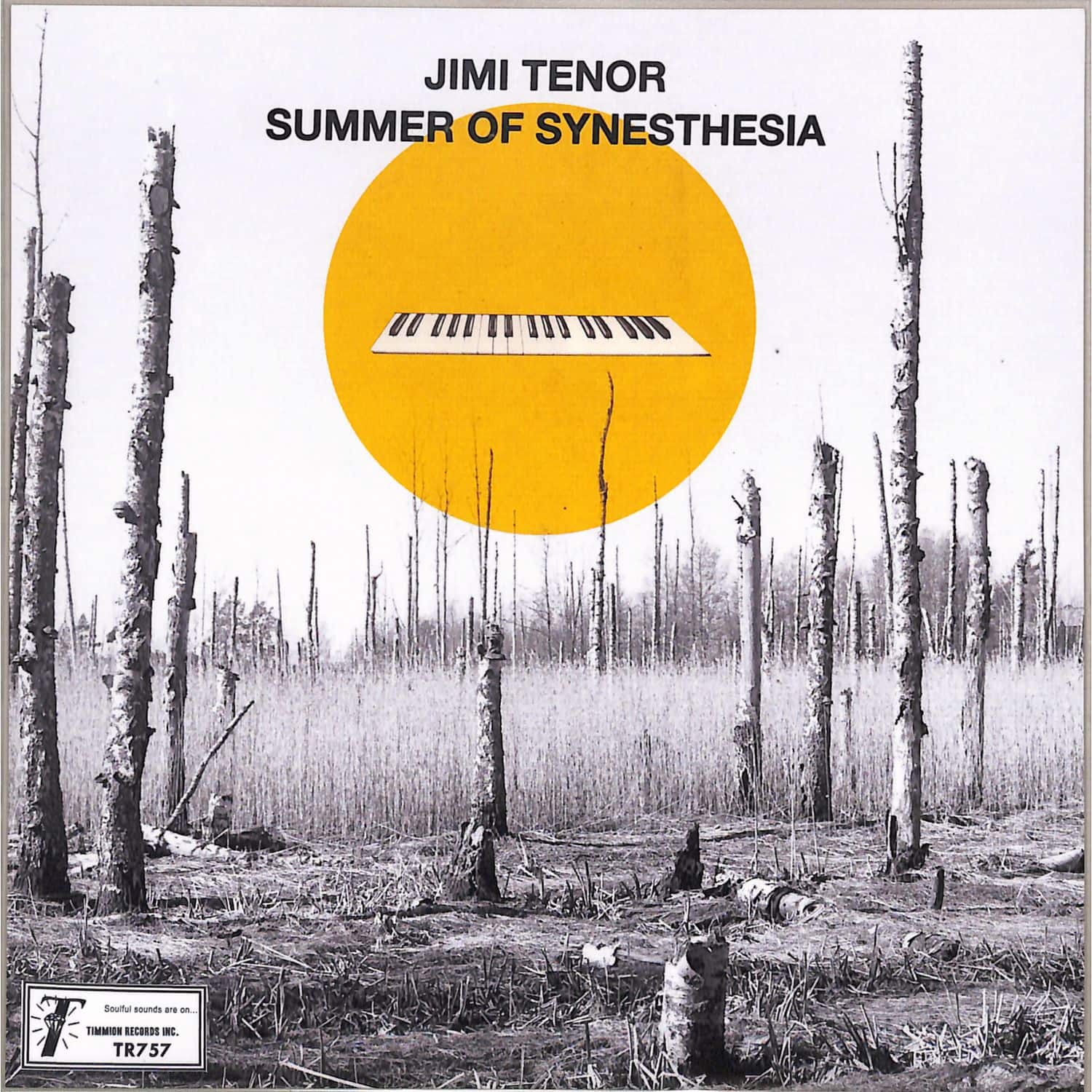 Jimi Tenor - SUMMER OF SYNESTHESIA 