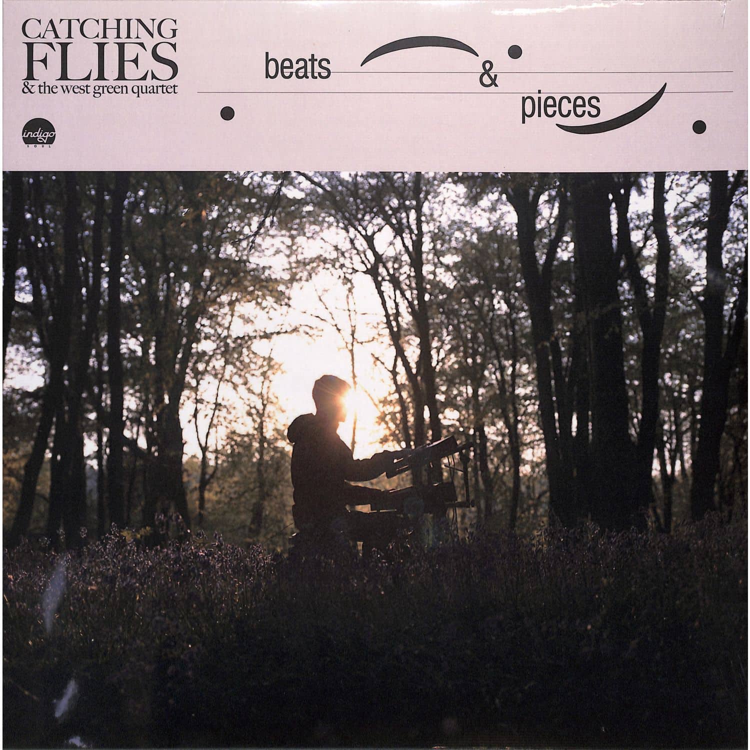 Catching Flies - BEATS & PIECES 
