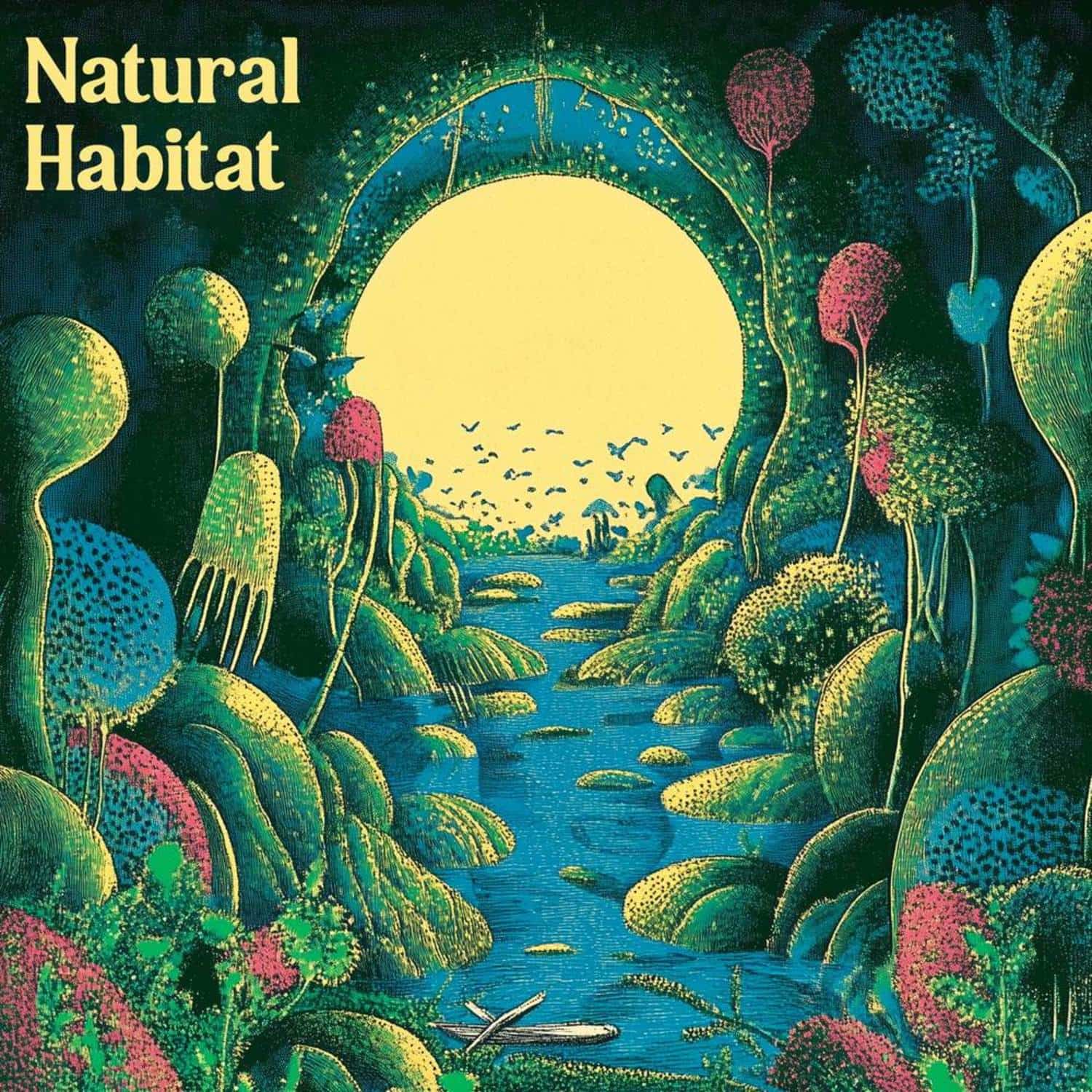 Indi Zone - NATURAL HABITAT 