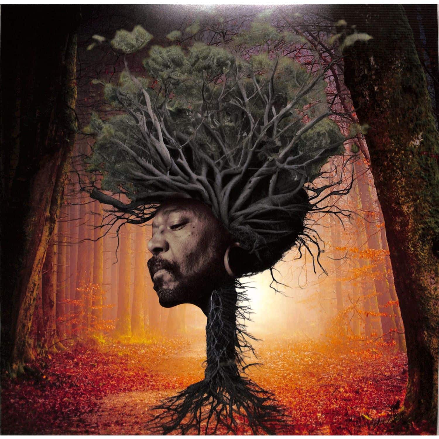 Osunlade - INNER GARDEN 