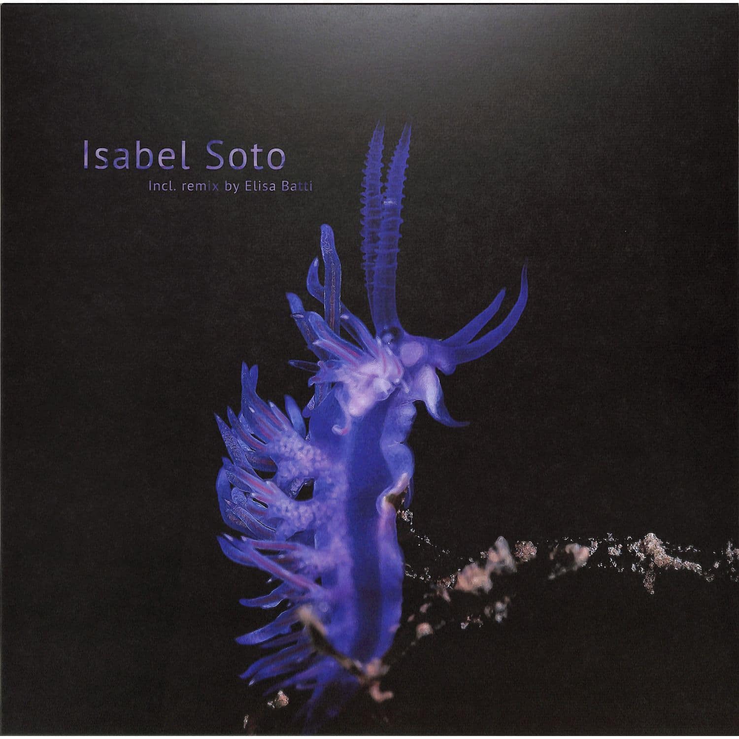 Isabel Soto - HABITAT ALTERATION