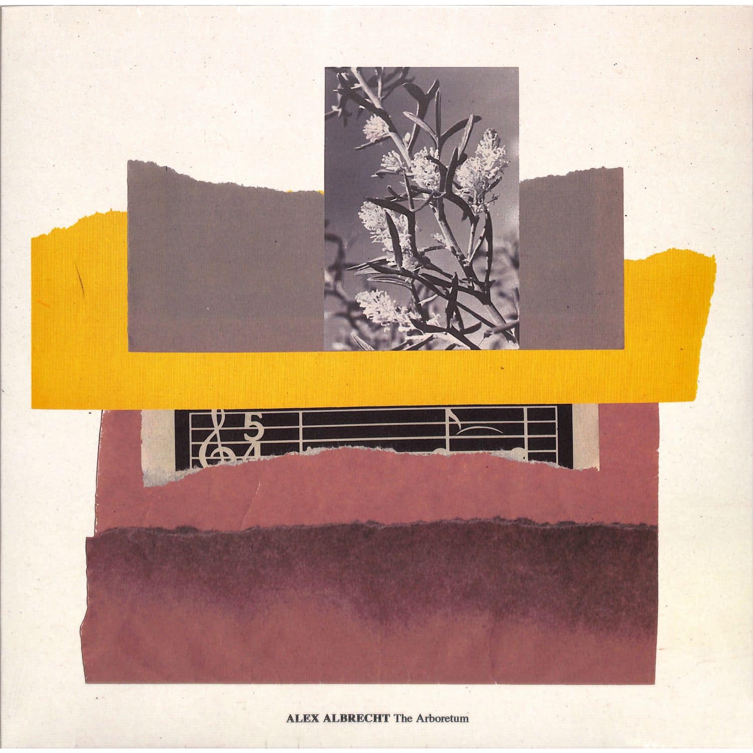 Alex Albrecht - THE ARBORETUM