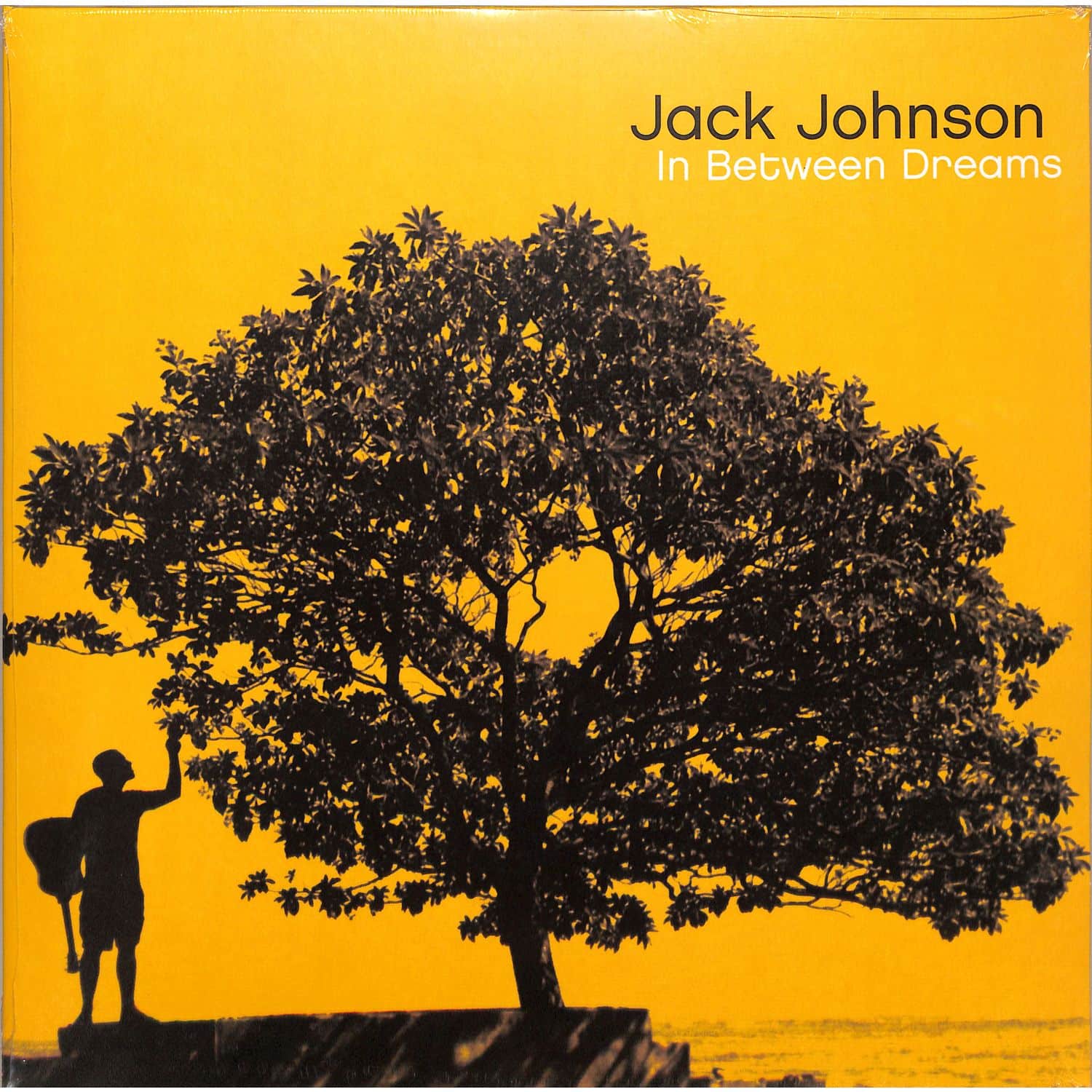 Jack Johnson - IN BETWEEN DREAMS 