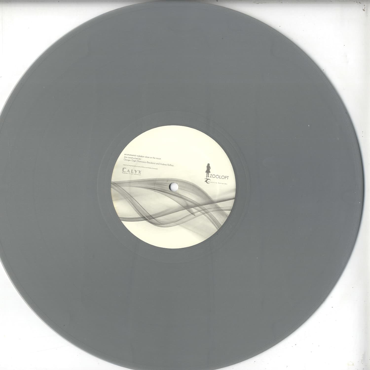 Giorgio Gigli, Obtane & Nax Acid - ENVIRONMENTAL RADIATION DOSE ON THE MOON