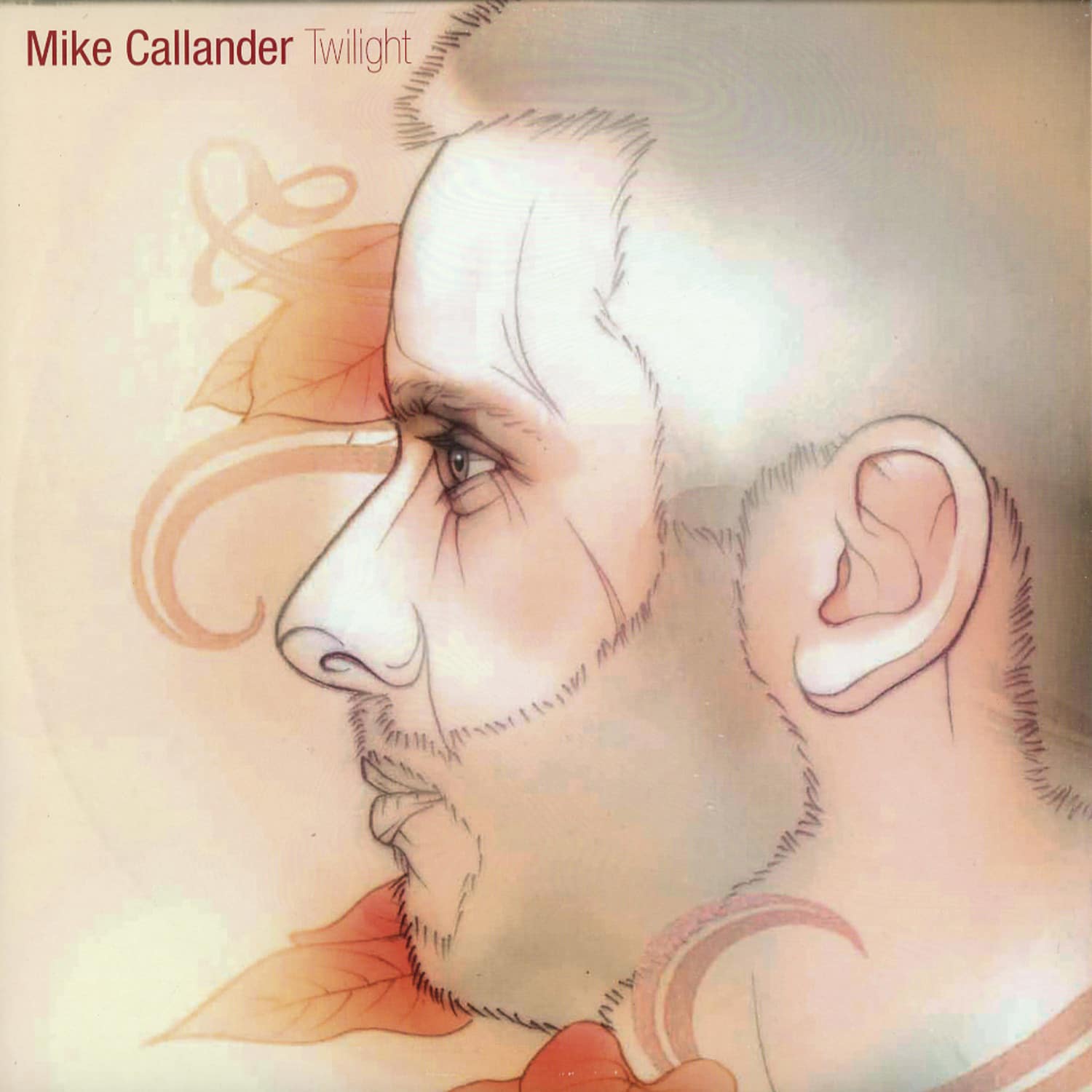 Mike Callander - TWILIGHT 