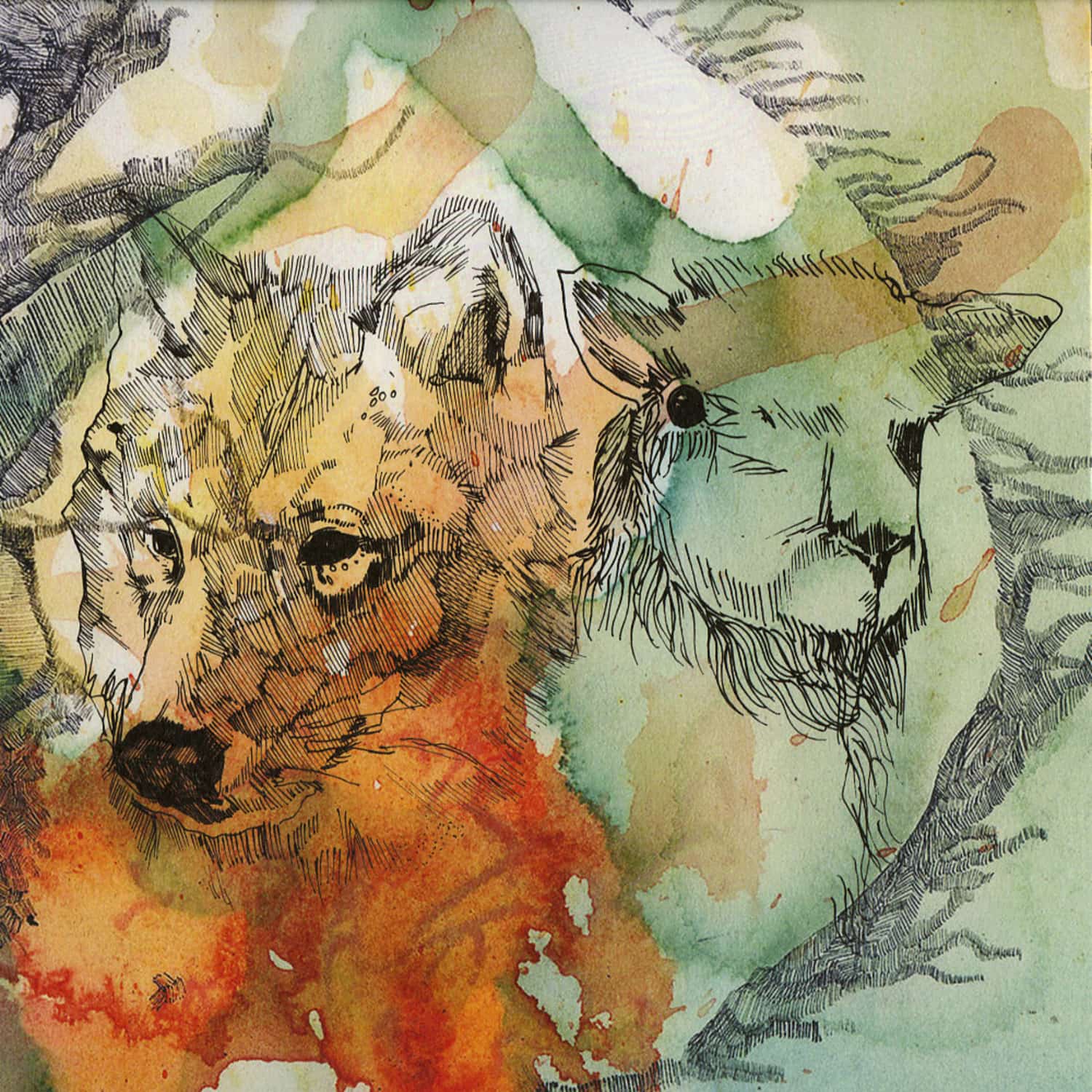Wolf + Lamb - VERSUS