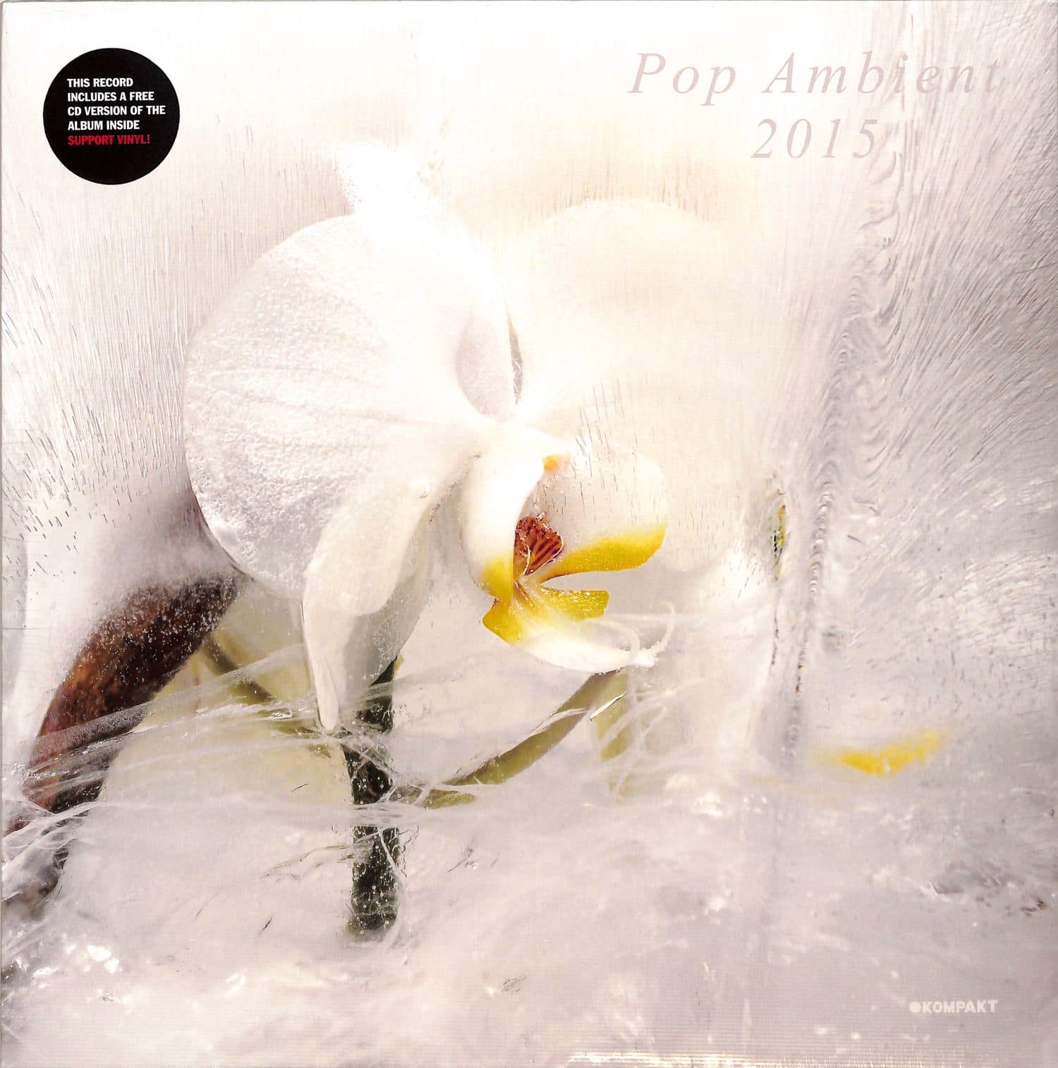 Various Artists - POP AMBIENT 2015 