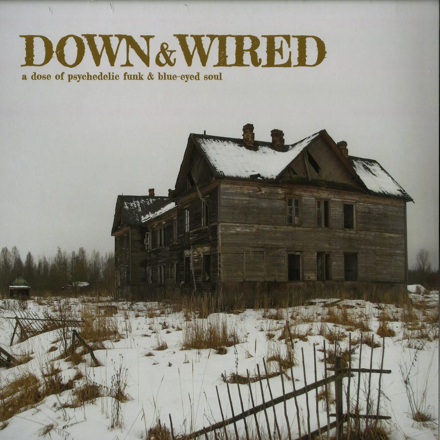 Various Artists - Down & Wired 1 