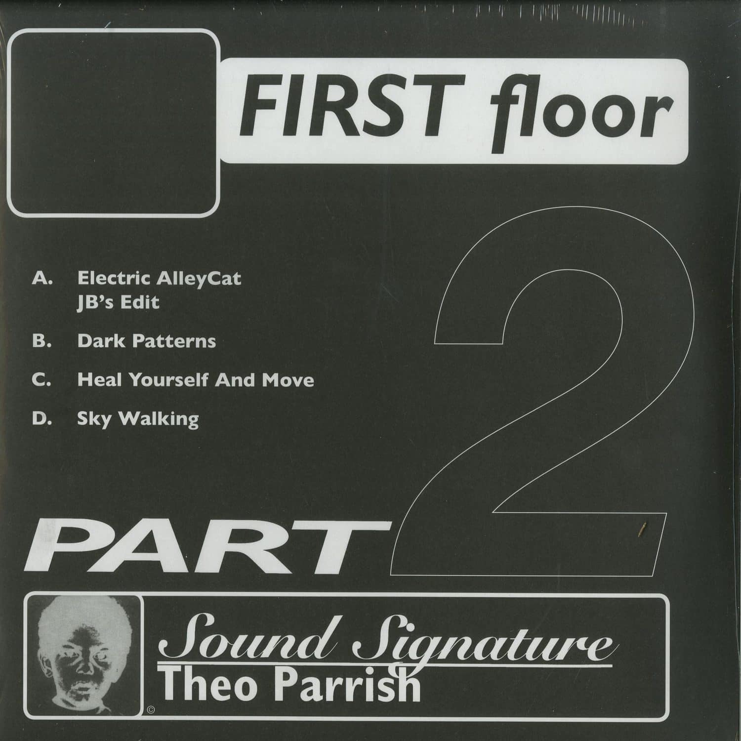 Theo Parrish - FIRST FLOOR PT.2 