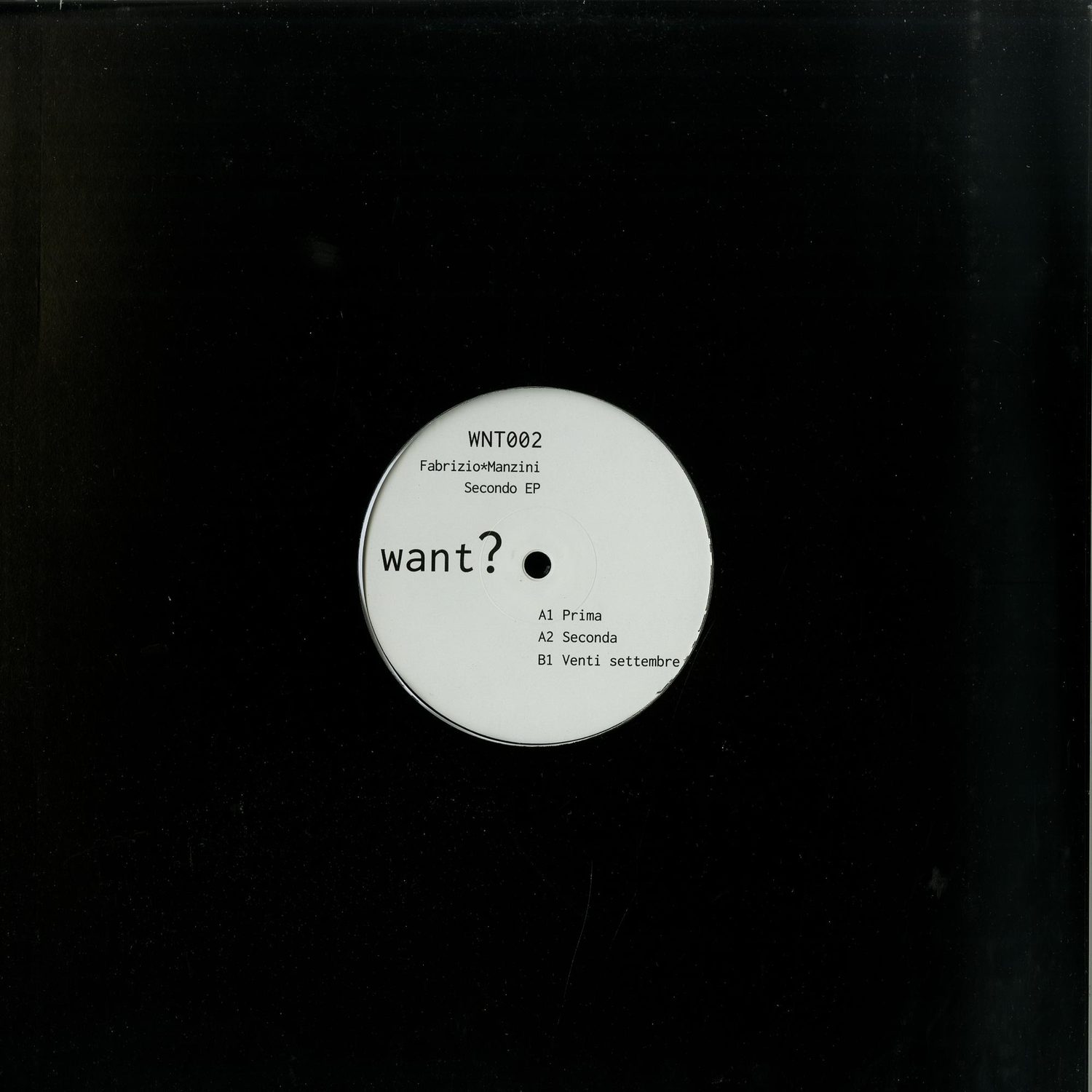 Fabrizio Manzini - SECONDO EP