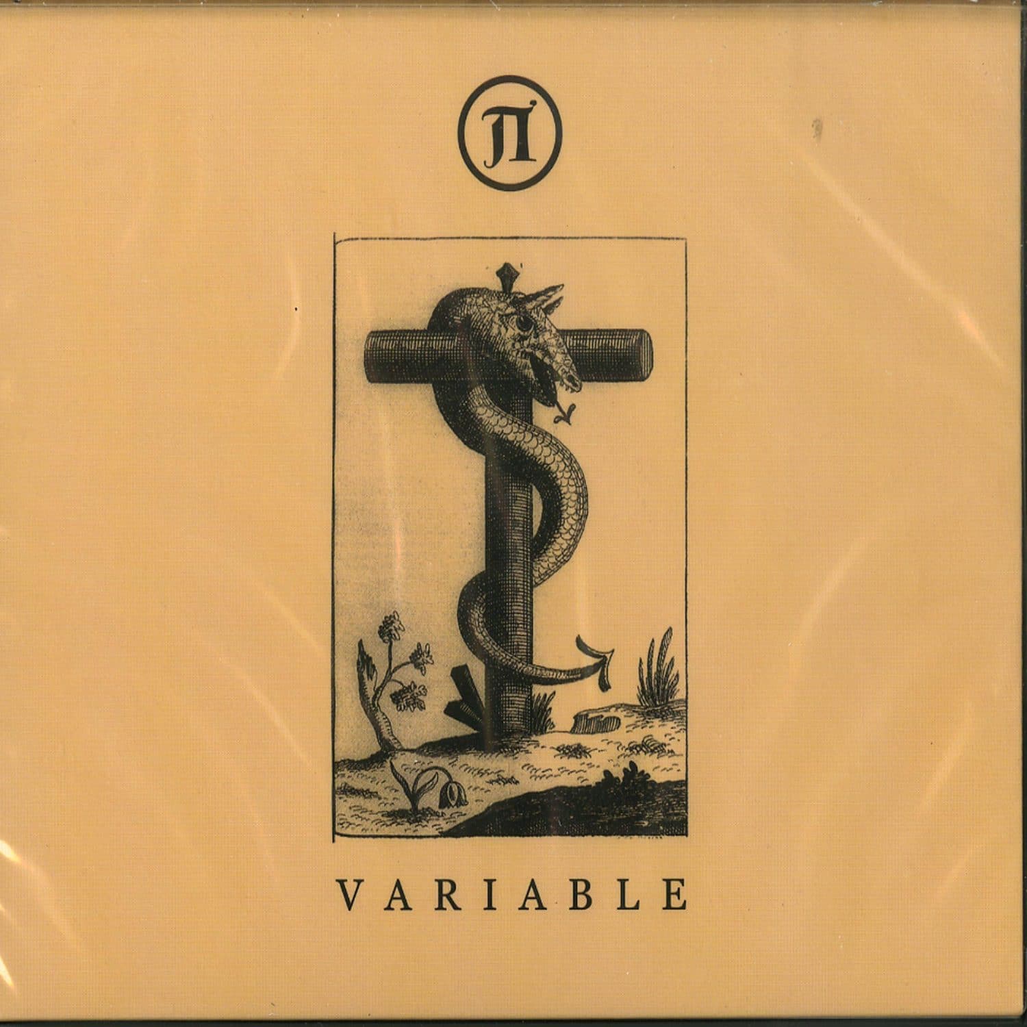 Various Artists - VARIABLE 