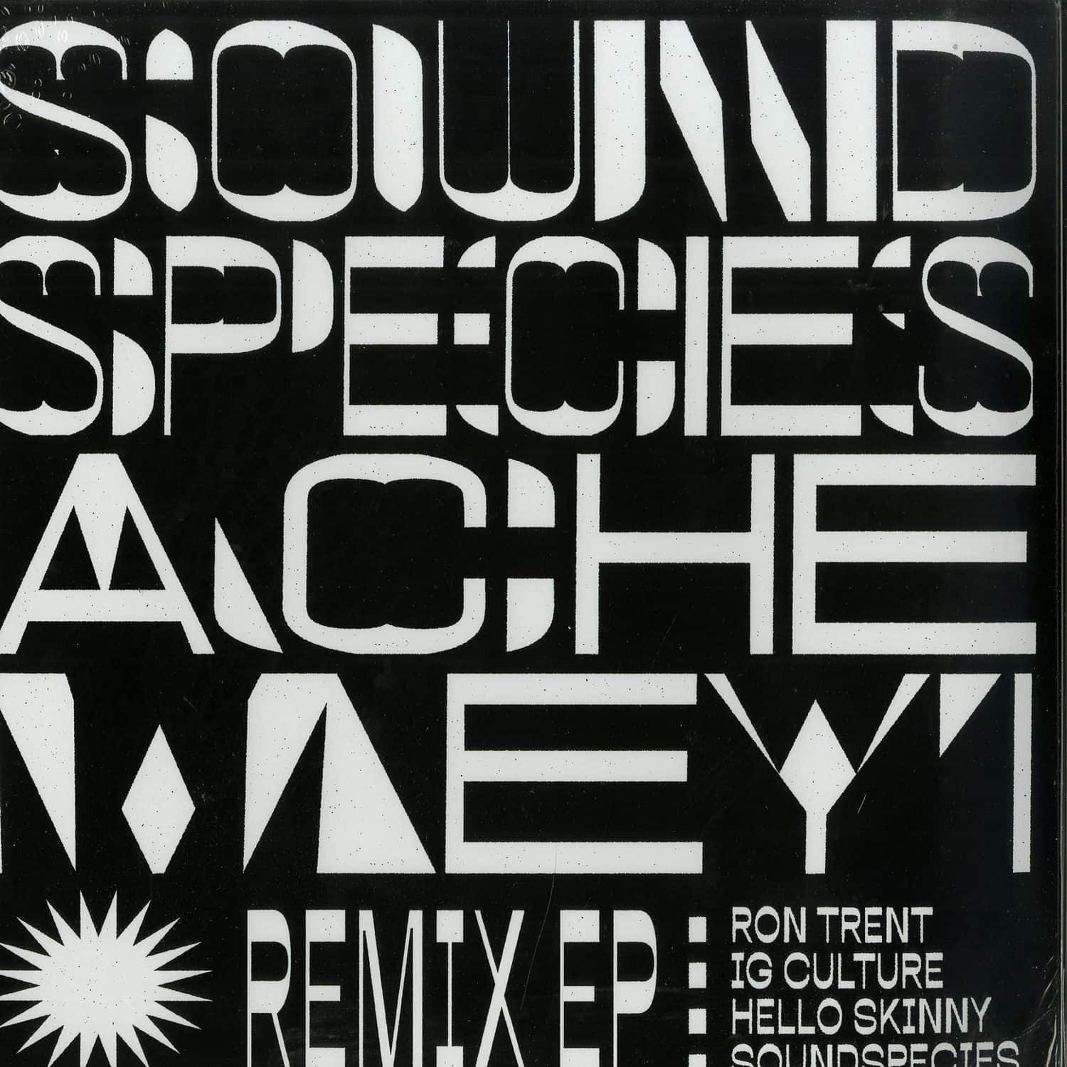 Sound Species & Ache Meyi - REMIX EP 