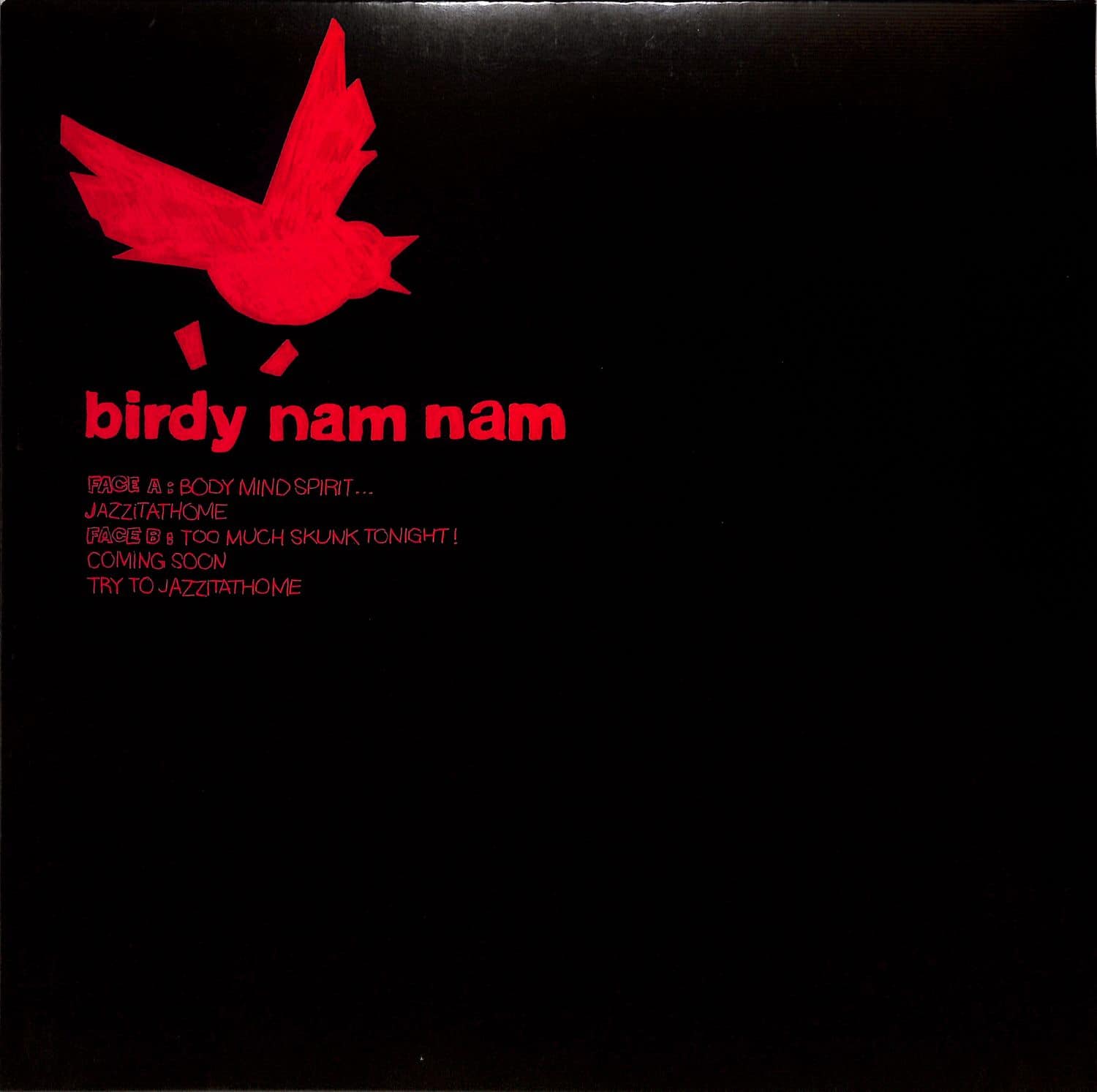 Birdy Nam Nam - BODY, MIND, SPIRIT