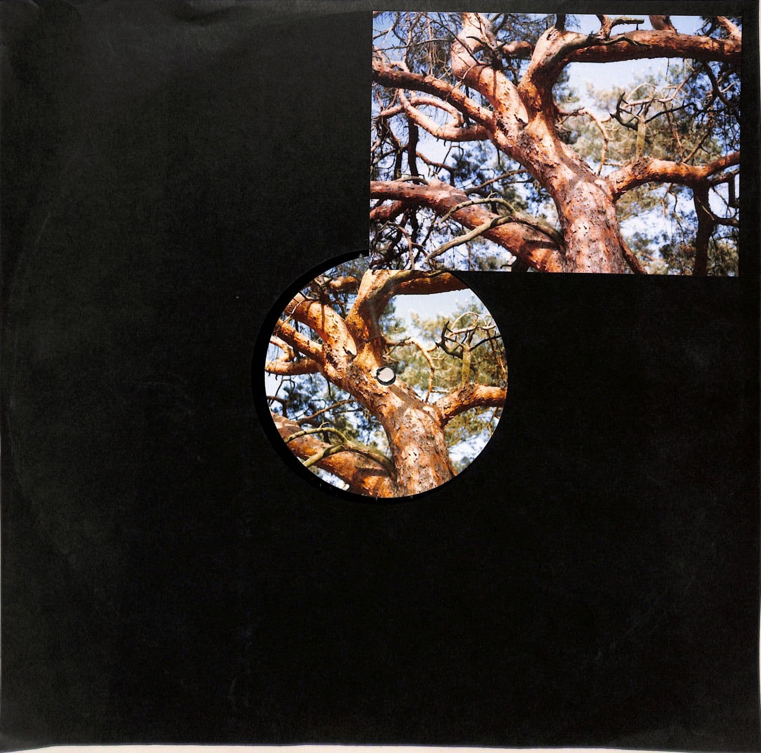 Various - Untitled