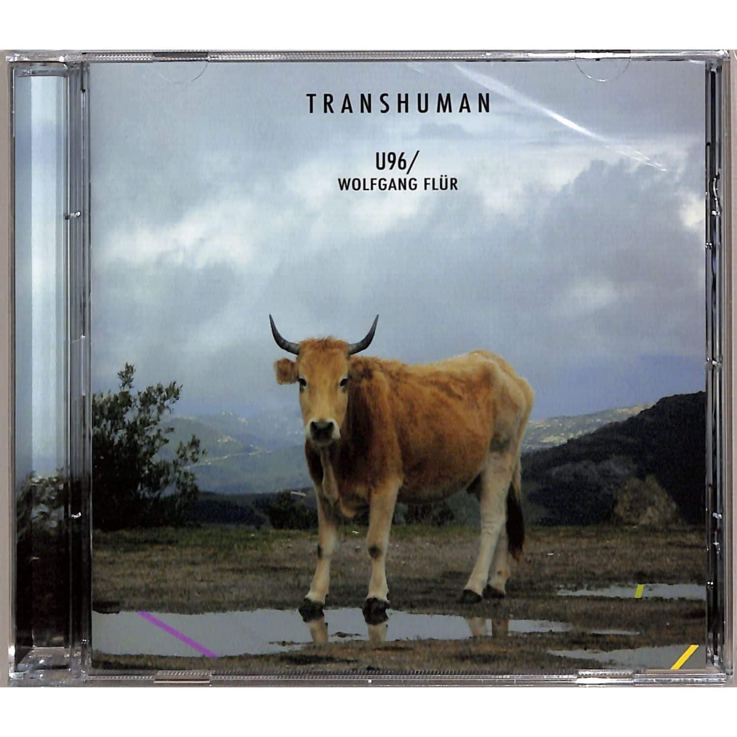 U96 / Wolfgang Fluer  - TRANSHUMAN 