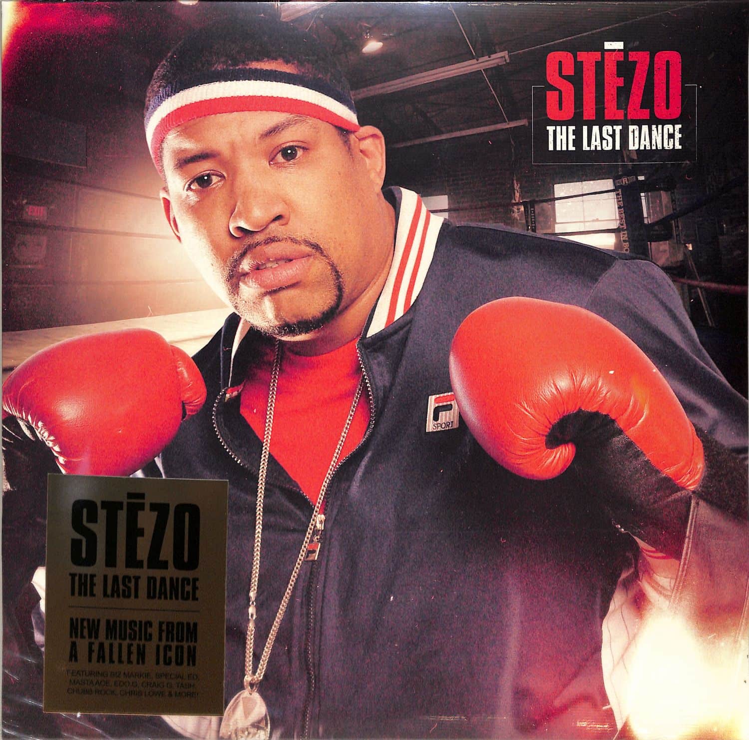 Stezo - THE LAST DANCE 