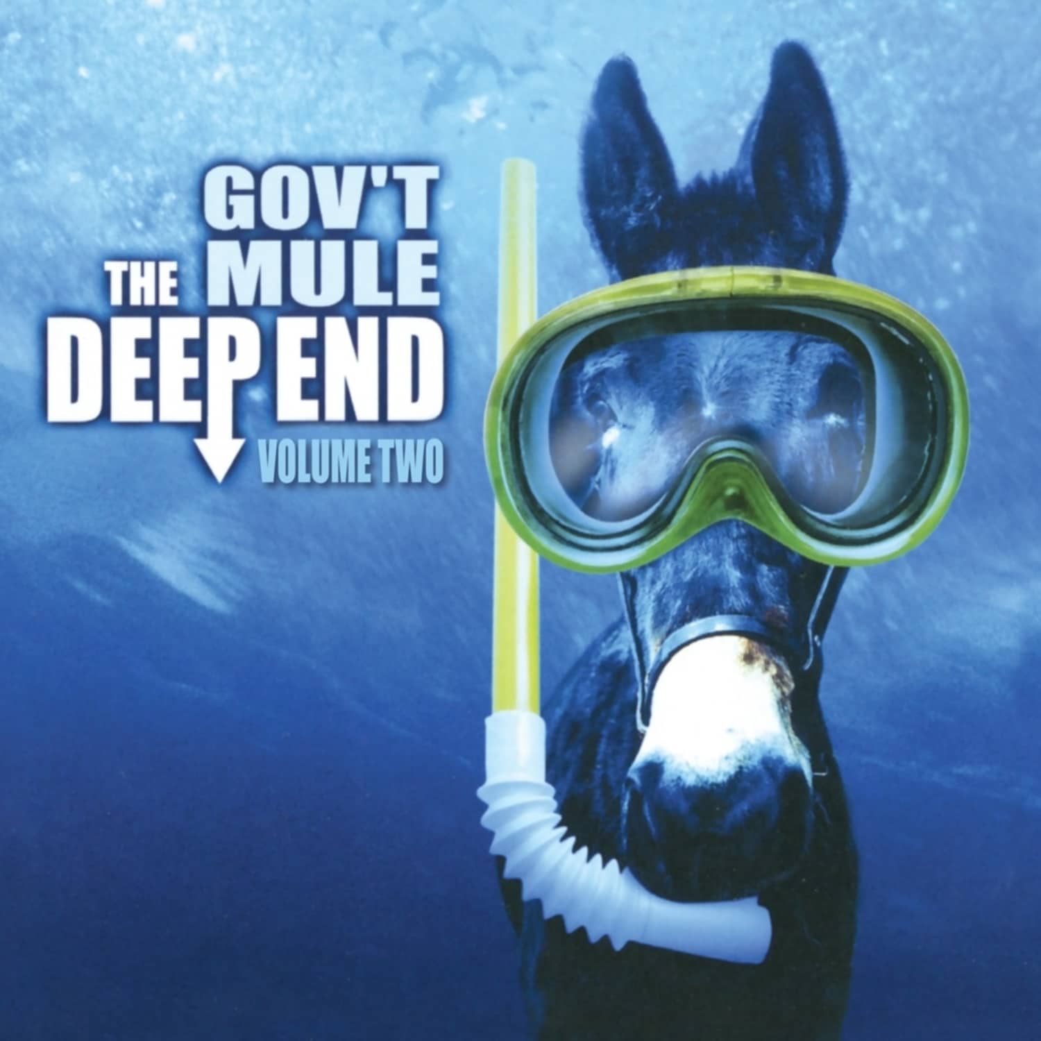 Govt Mule - THE DEEP END VOL.2 