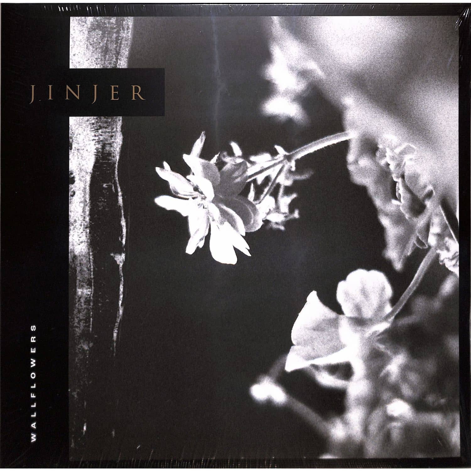 Jinjer - WALLFLOWERS 