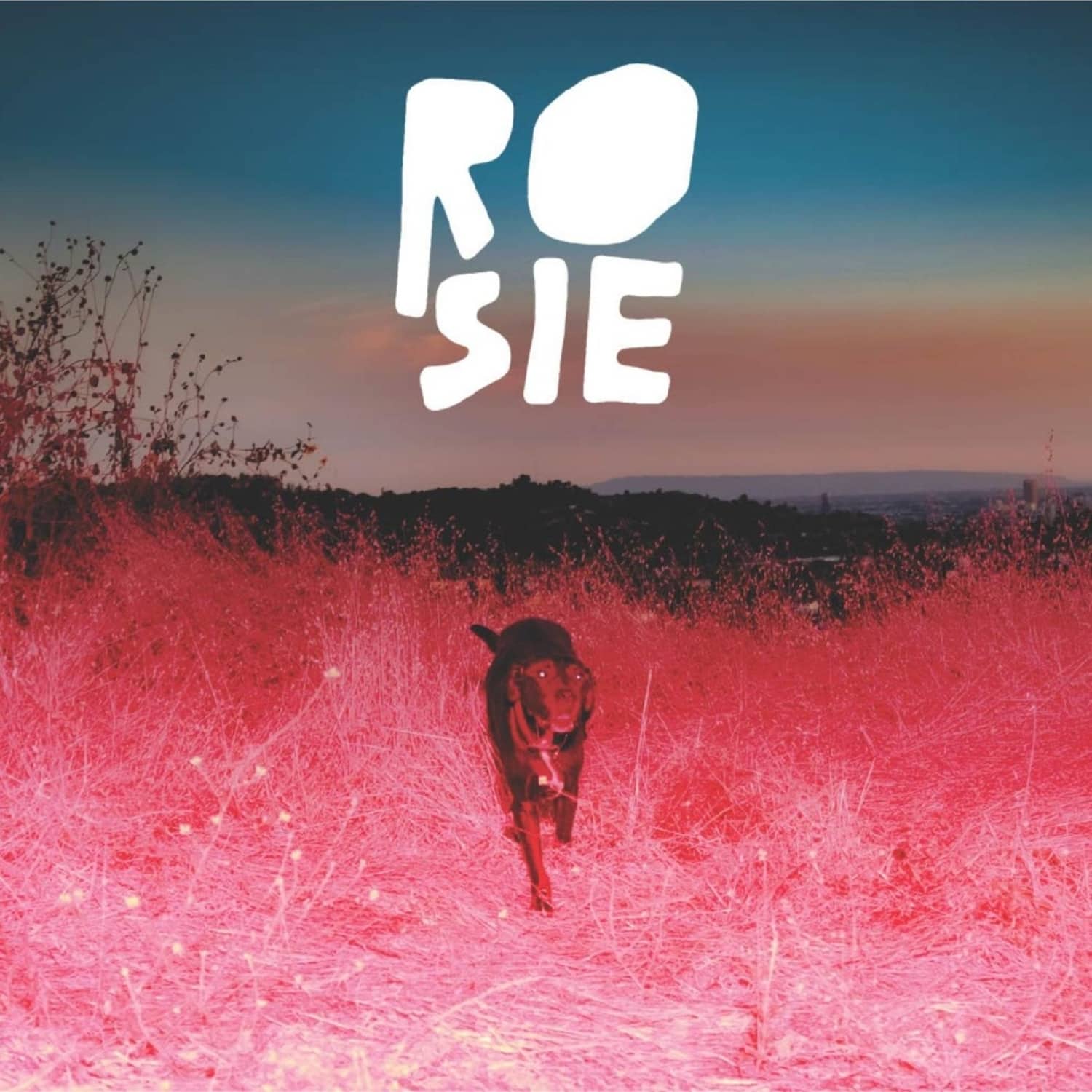 Kaycie Satterfield - ROSIE 