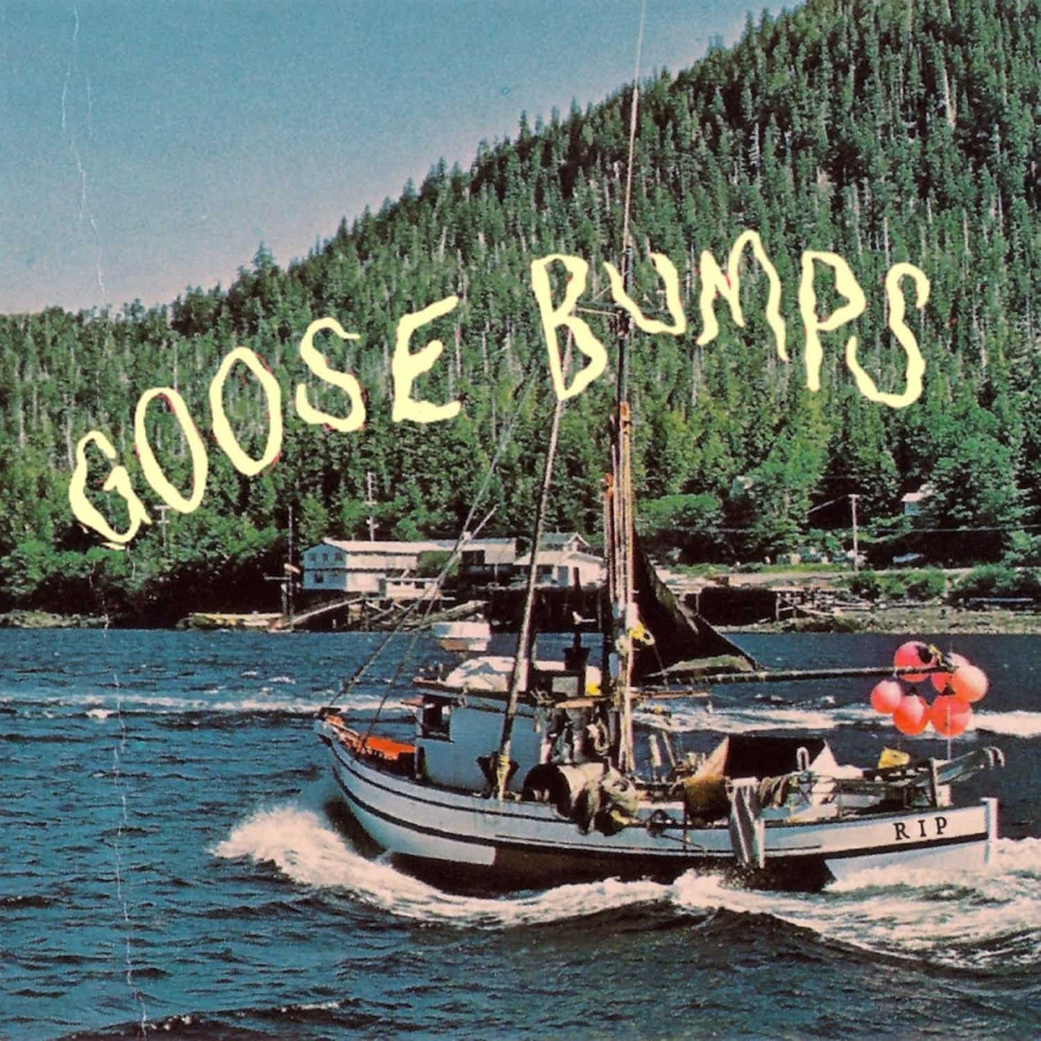 Boyscott - GOOSE BUMPS 