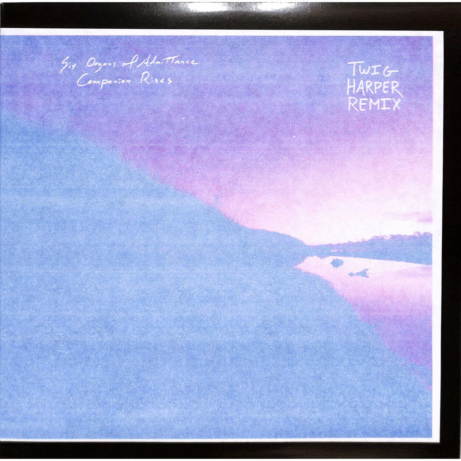 Six Organs Of Admittance - COMPANION RISES 