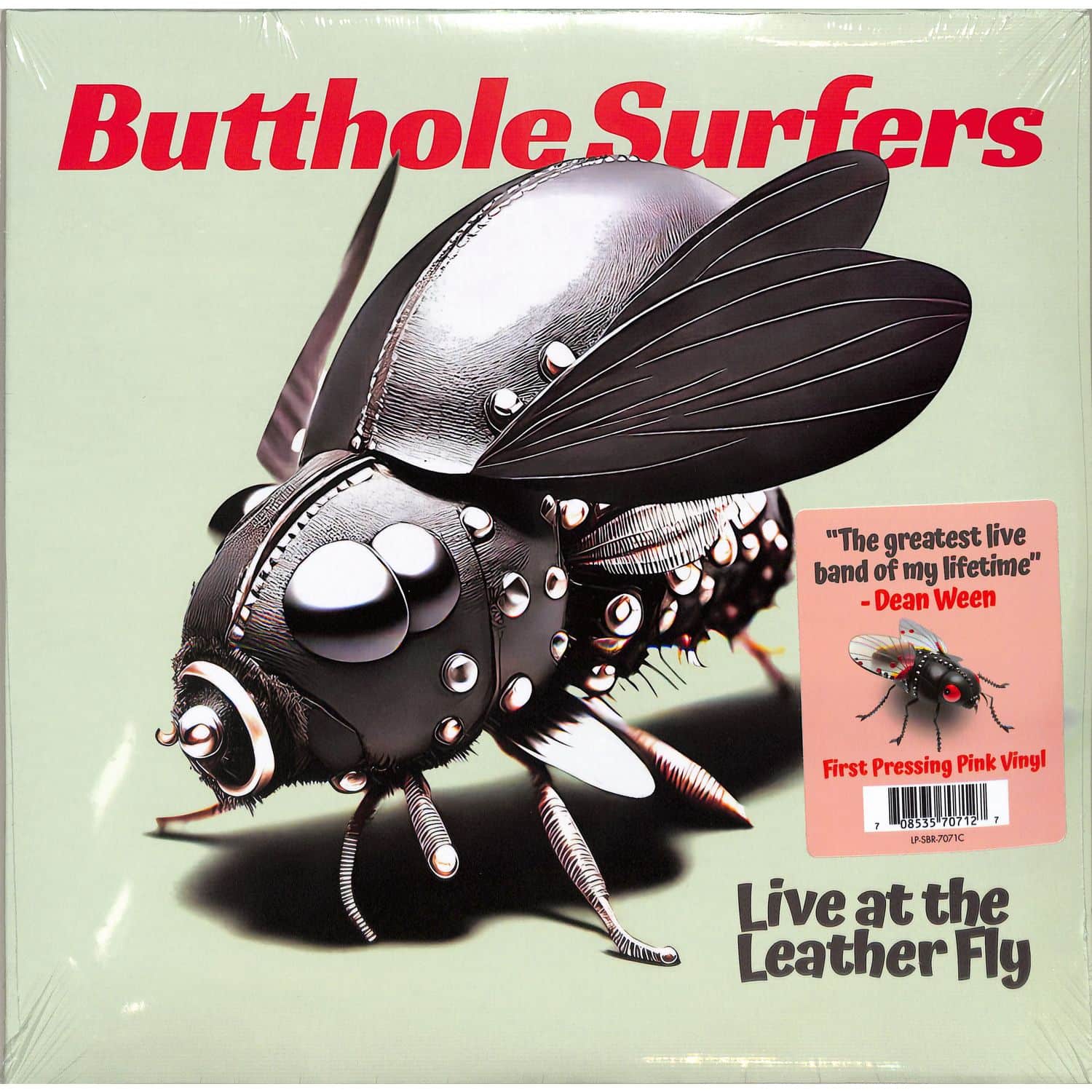 Butthole Surfers - LIVE AT THE LEATHER FLY 