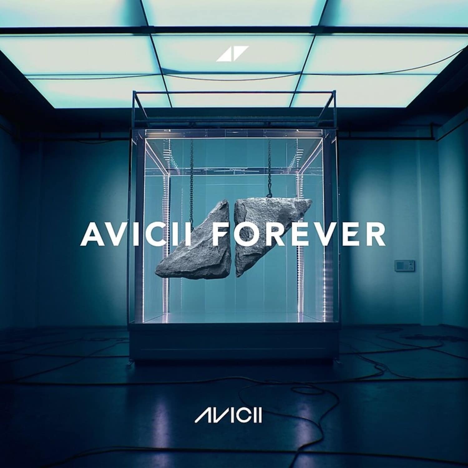 Avicii - AVICII FOREVER 