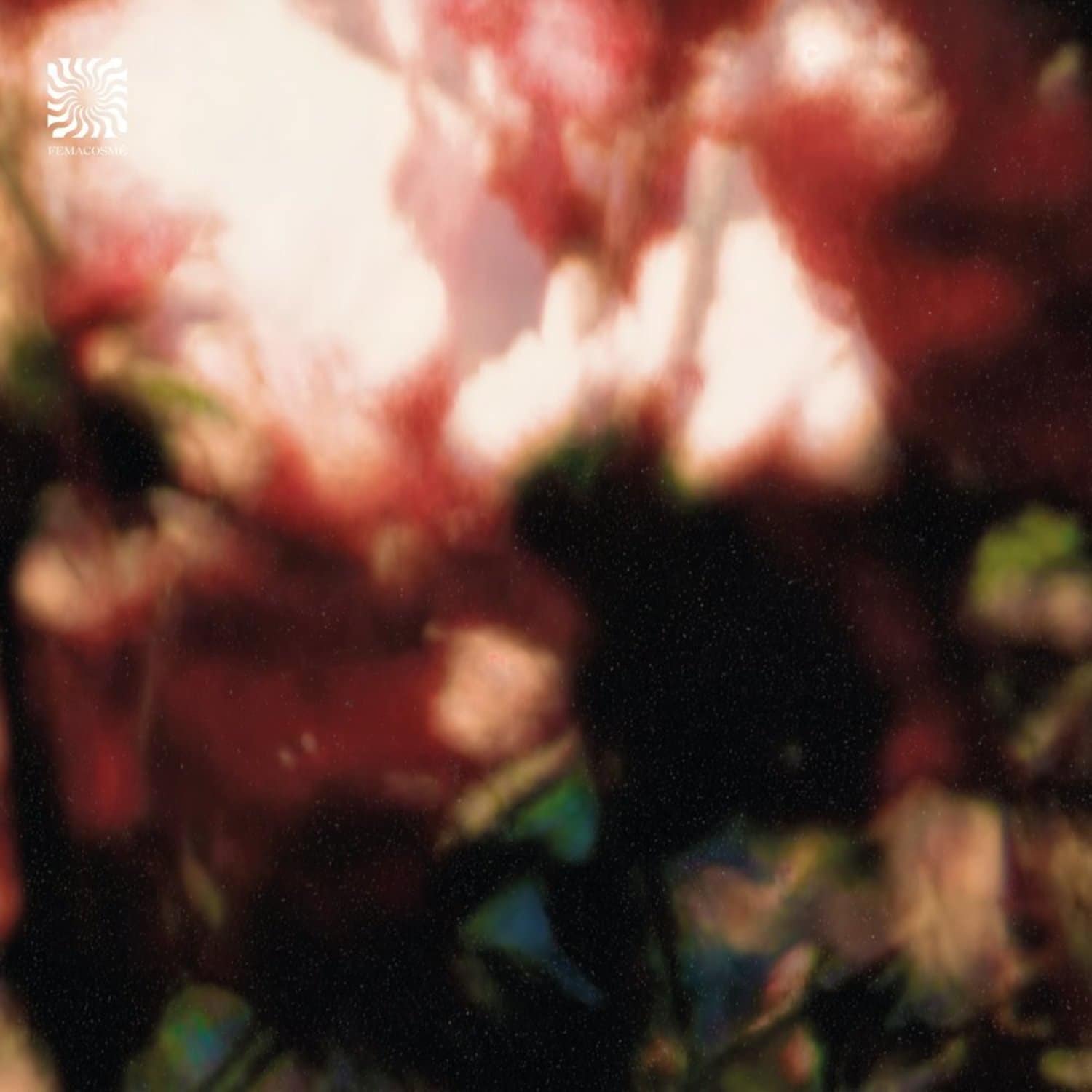 Euphonic Alliances Ltd - PEACE IS IT IN YOU