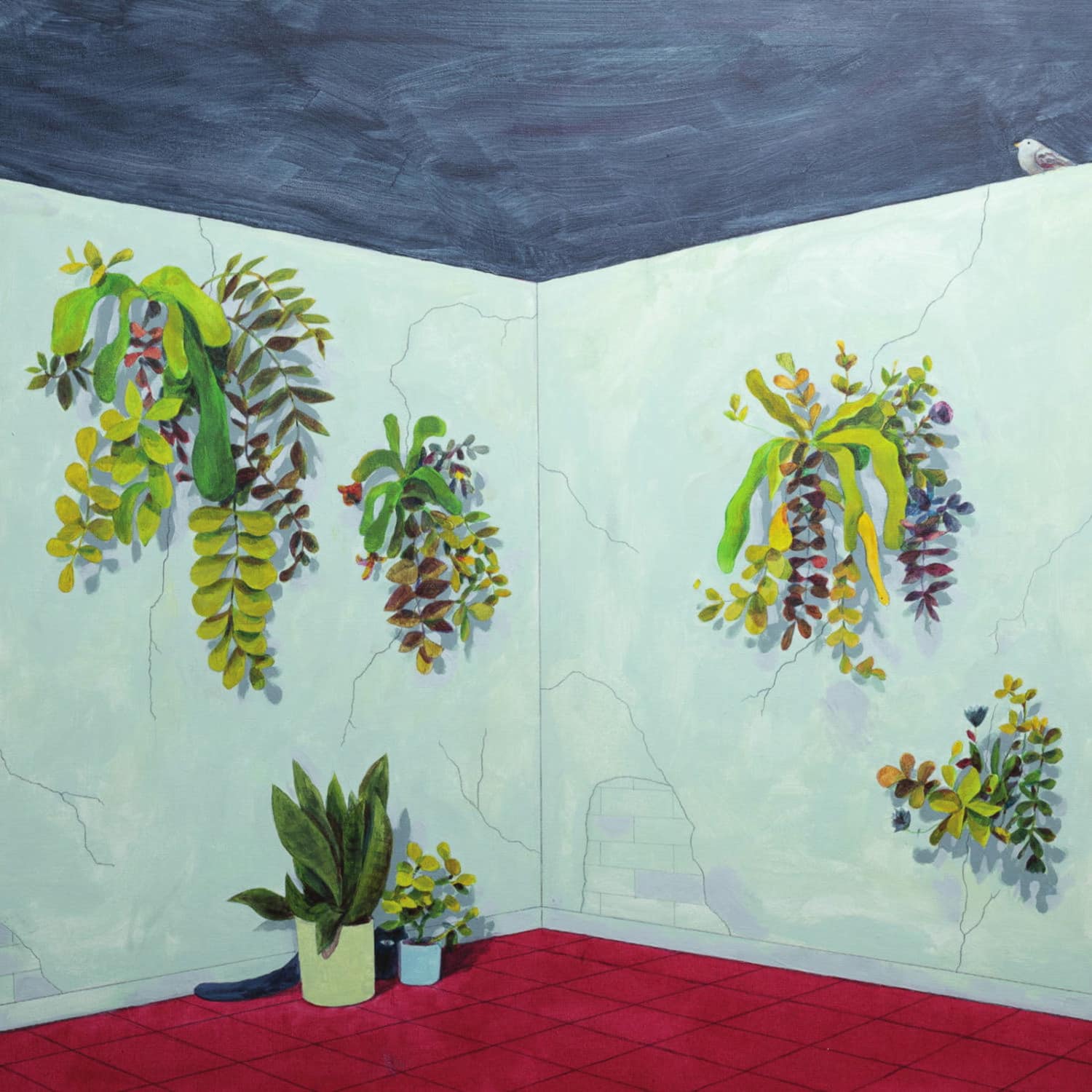 Mauricio Fleury - REVOADA