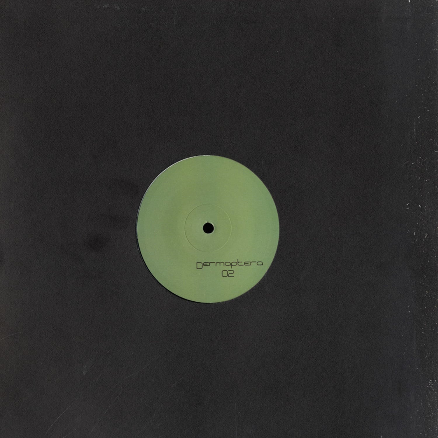 Dermaptera - DERMAPTERA 02 EP