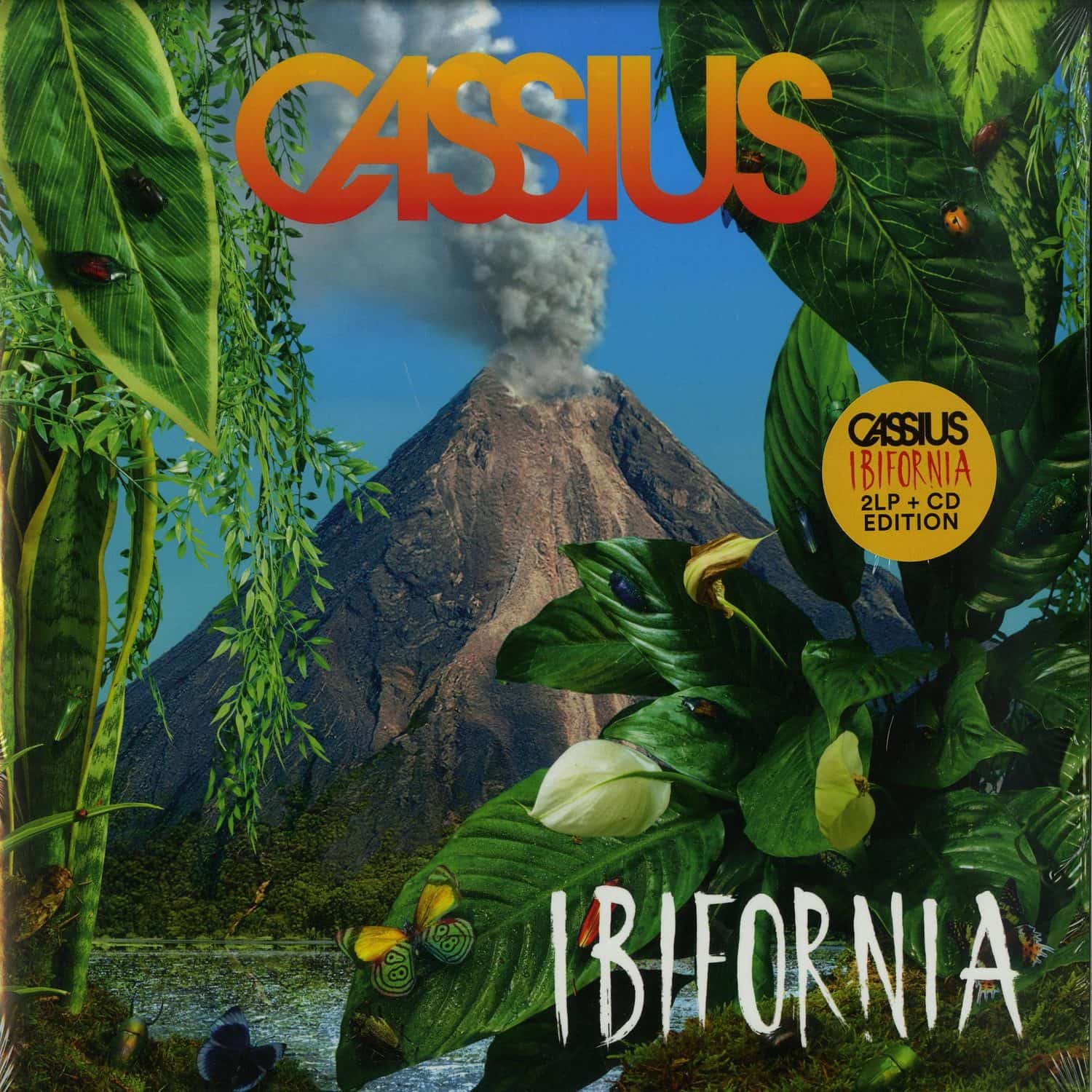 Cassius - IBIFORNIA 
