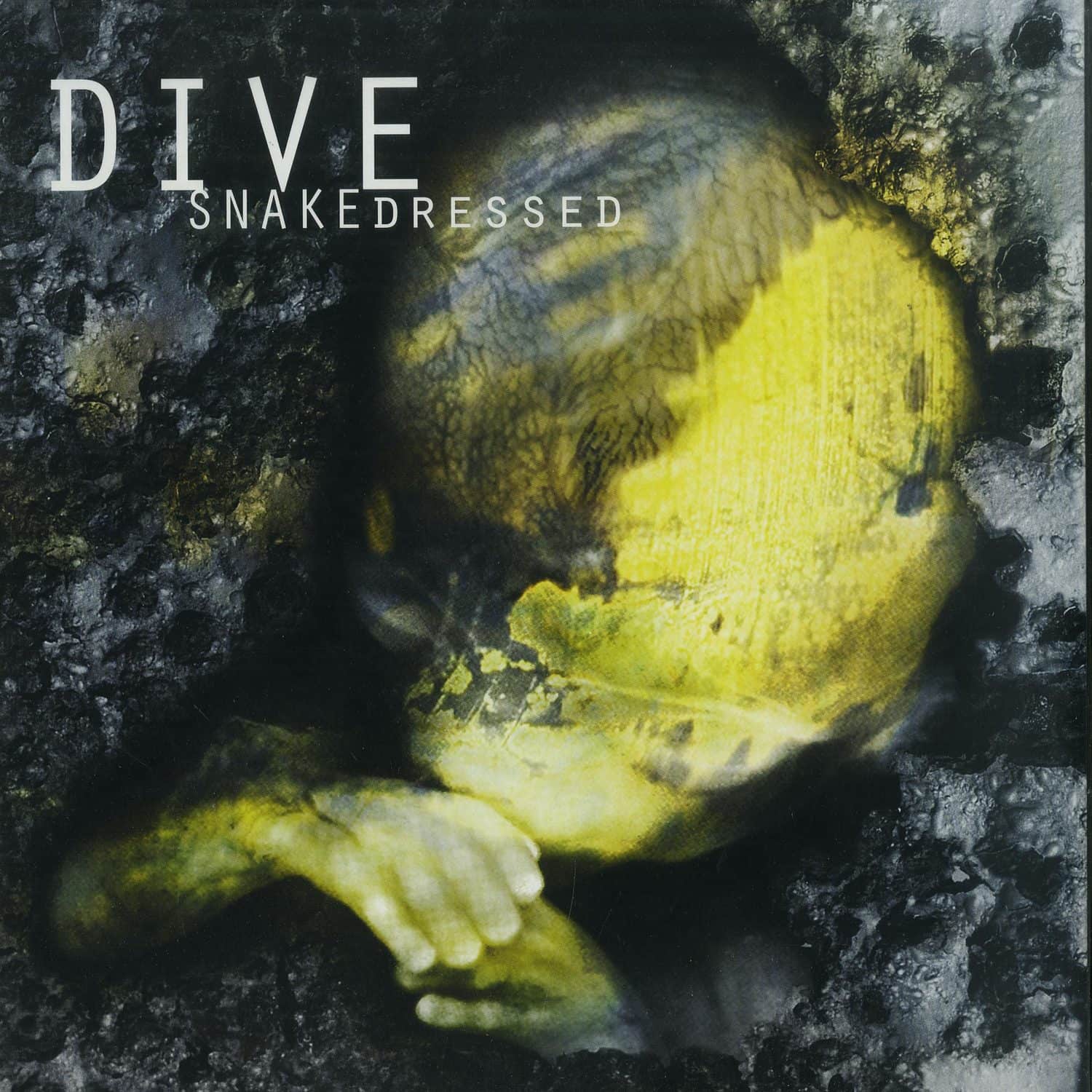 Dive - SNAKEDRESSED 